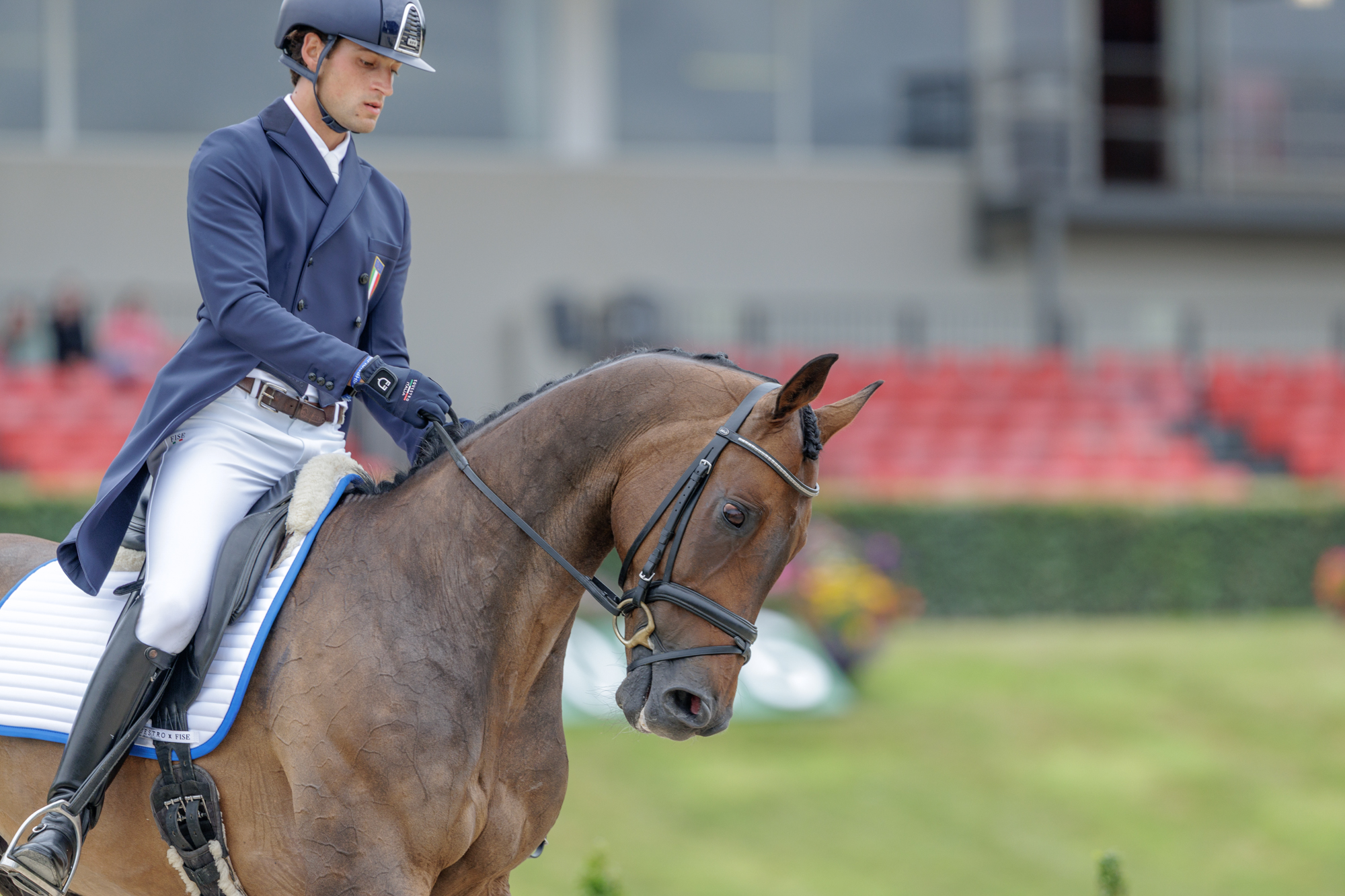 FEI Under-25 Eventing World Championship Millstreet
