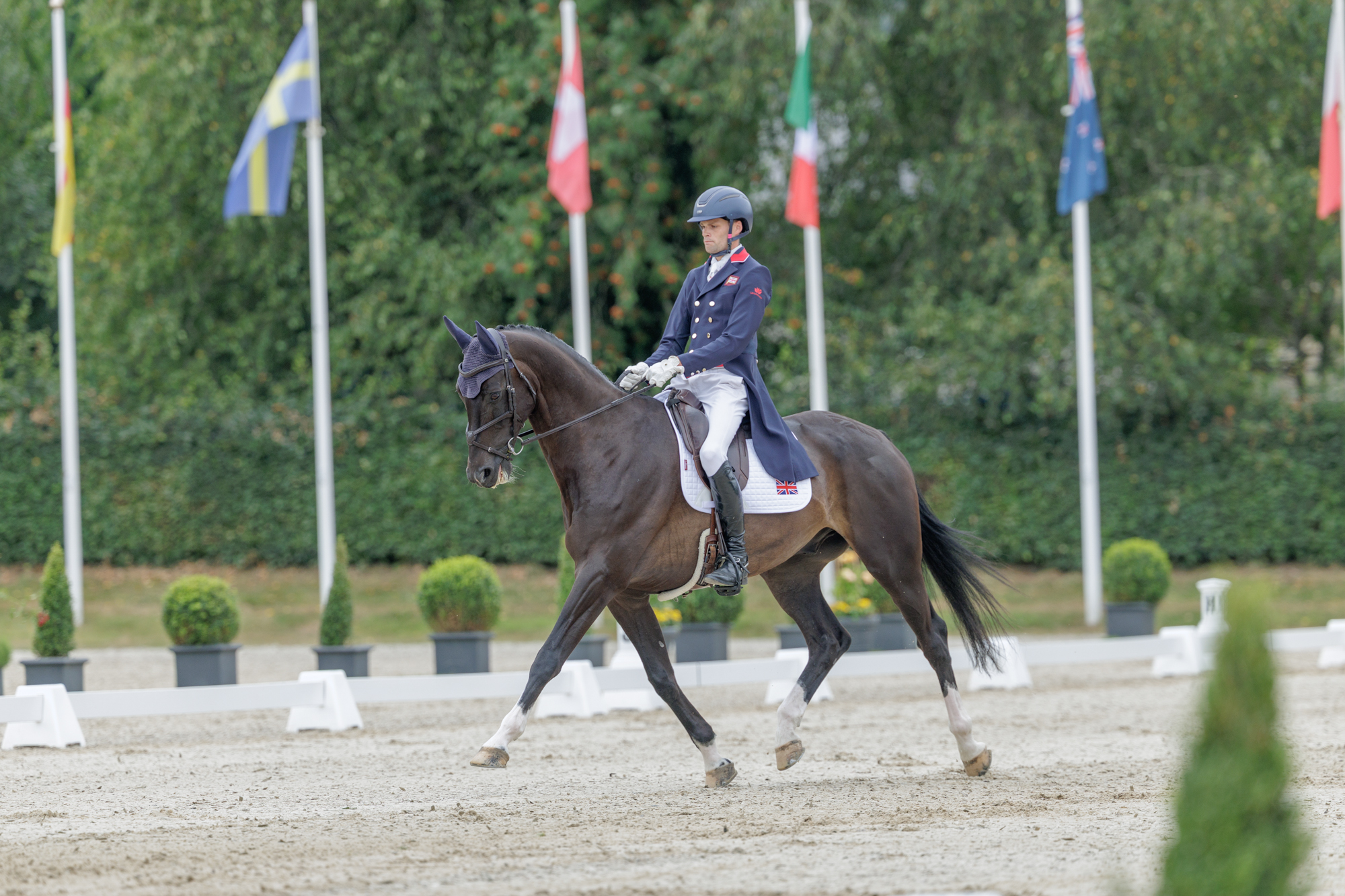 FEI Under-25 Eventing World Championship Millstreet