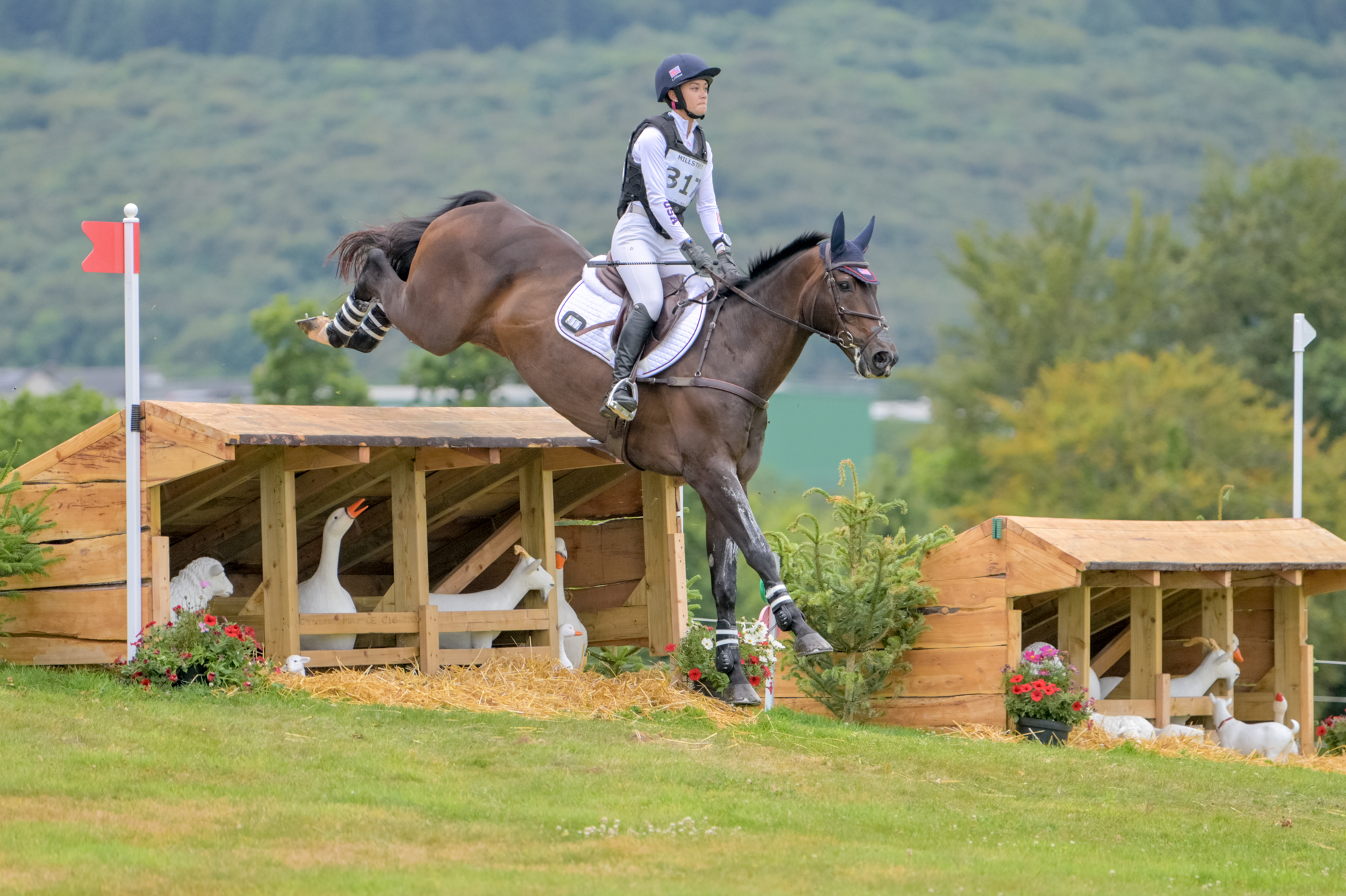 FEI Under-25 Eventing World Championship Millstreet