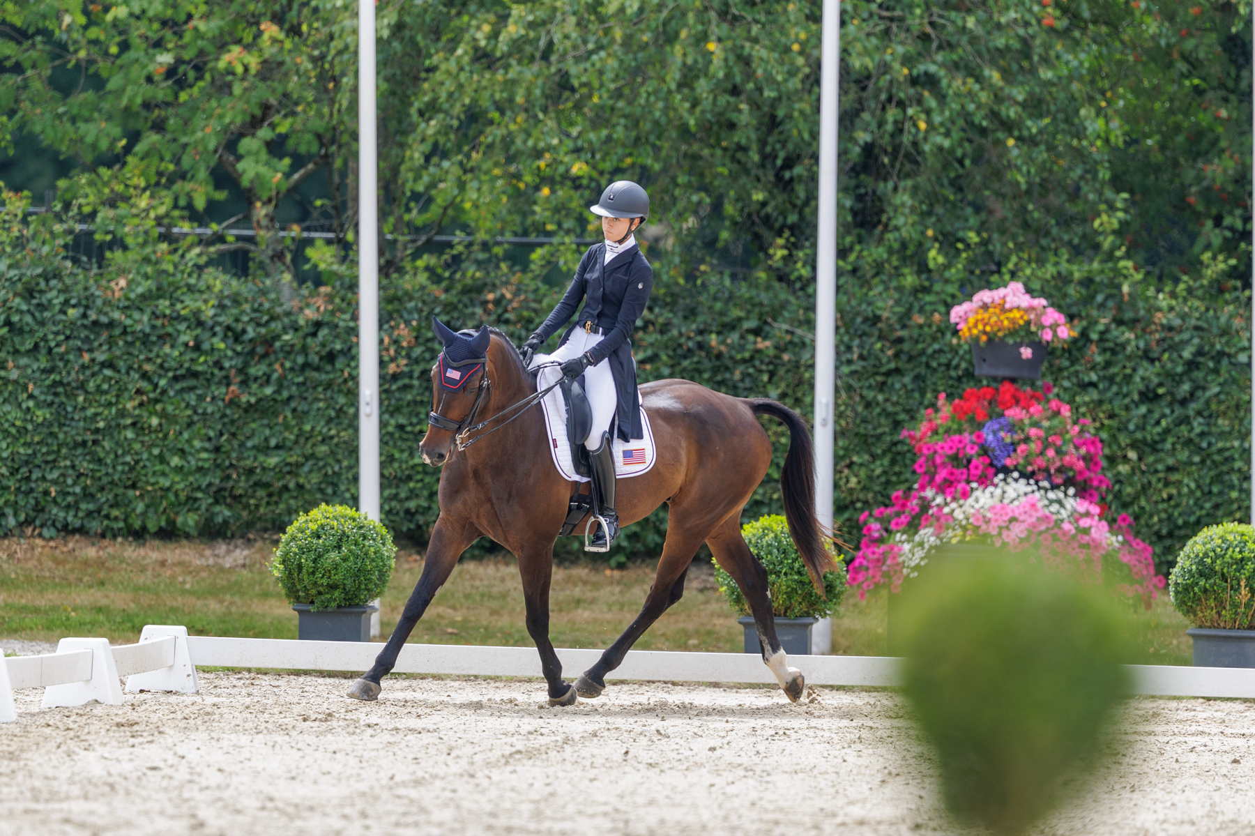 FEI Under-25 Eventing World Championship Millstreet