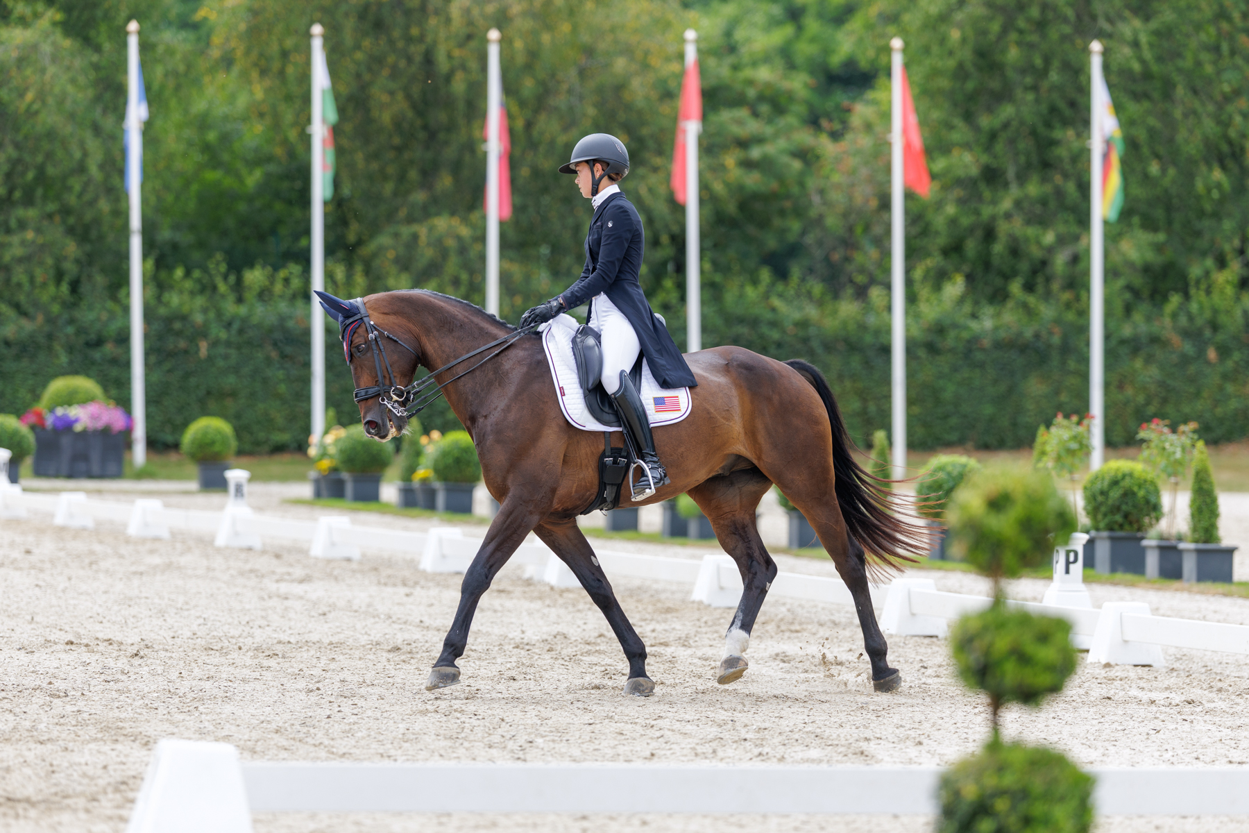 FEI Under-25 Eventing World Championship Millstreet