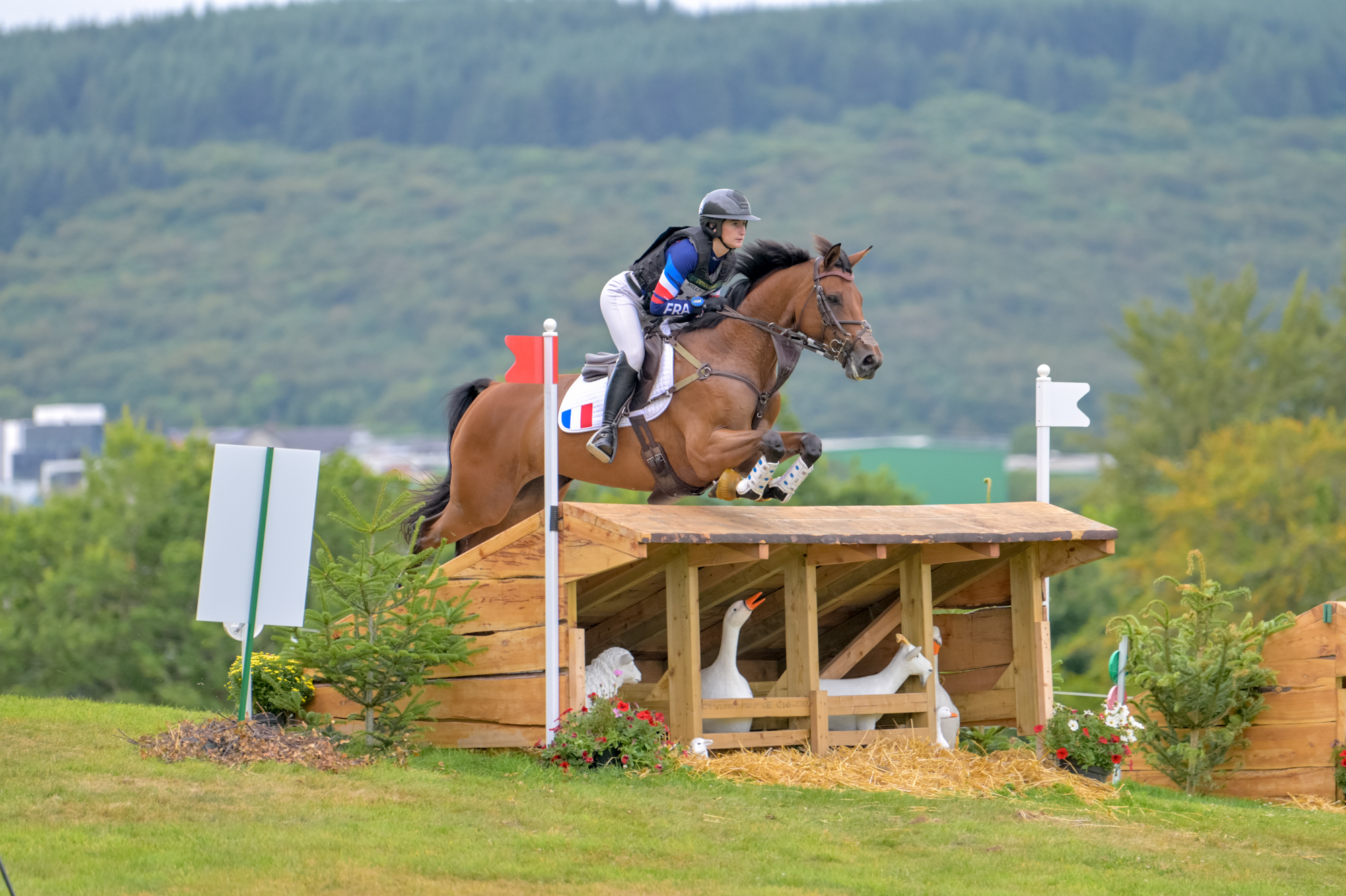 FEI Under-25 Eventing World Championship Millstreet