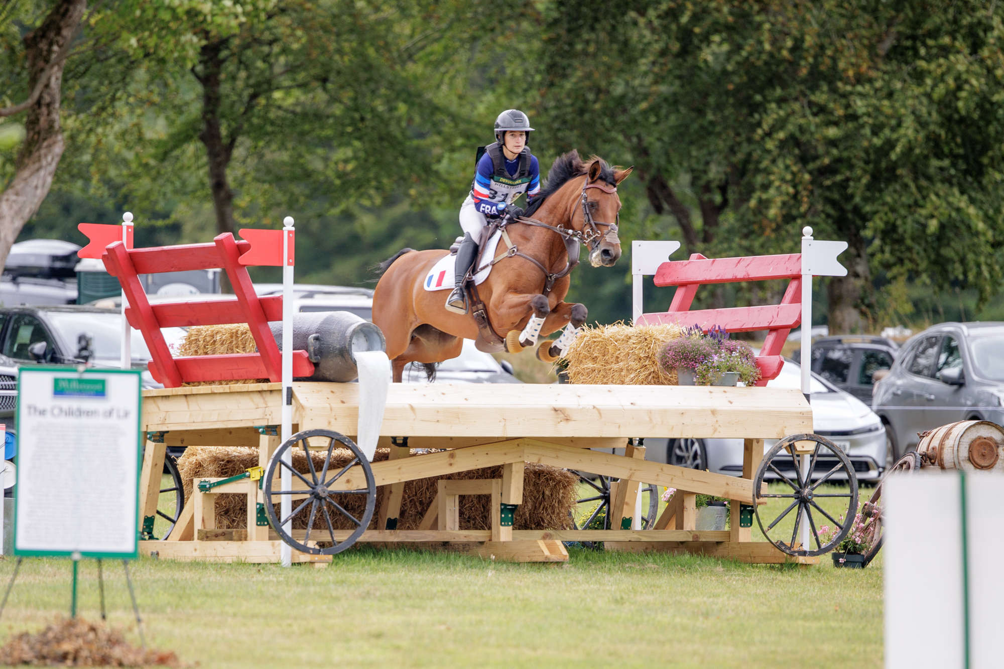 FEI Under-25 Eventing World Championship Millstreet
