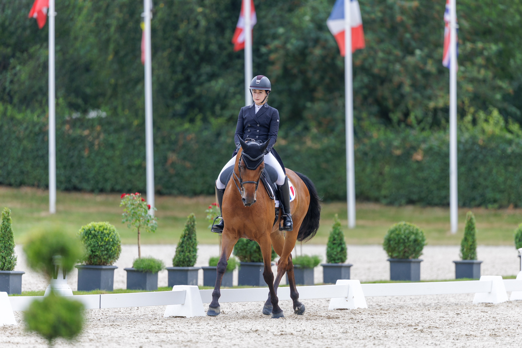 FEI Under-25 Eventing World Championship Millstreet