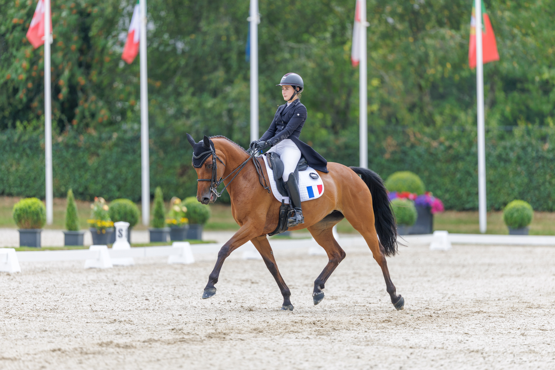 FEI Under-25 Eventing World Championship Millstreet