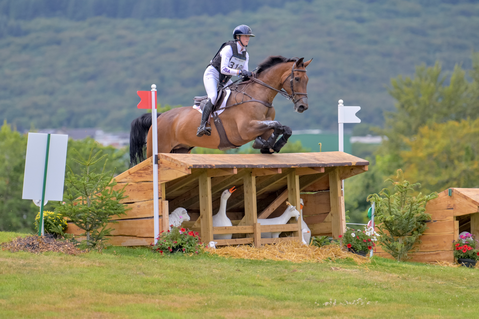 FEI Under-25 Eventing World Championship Millstreet