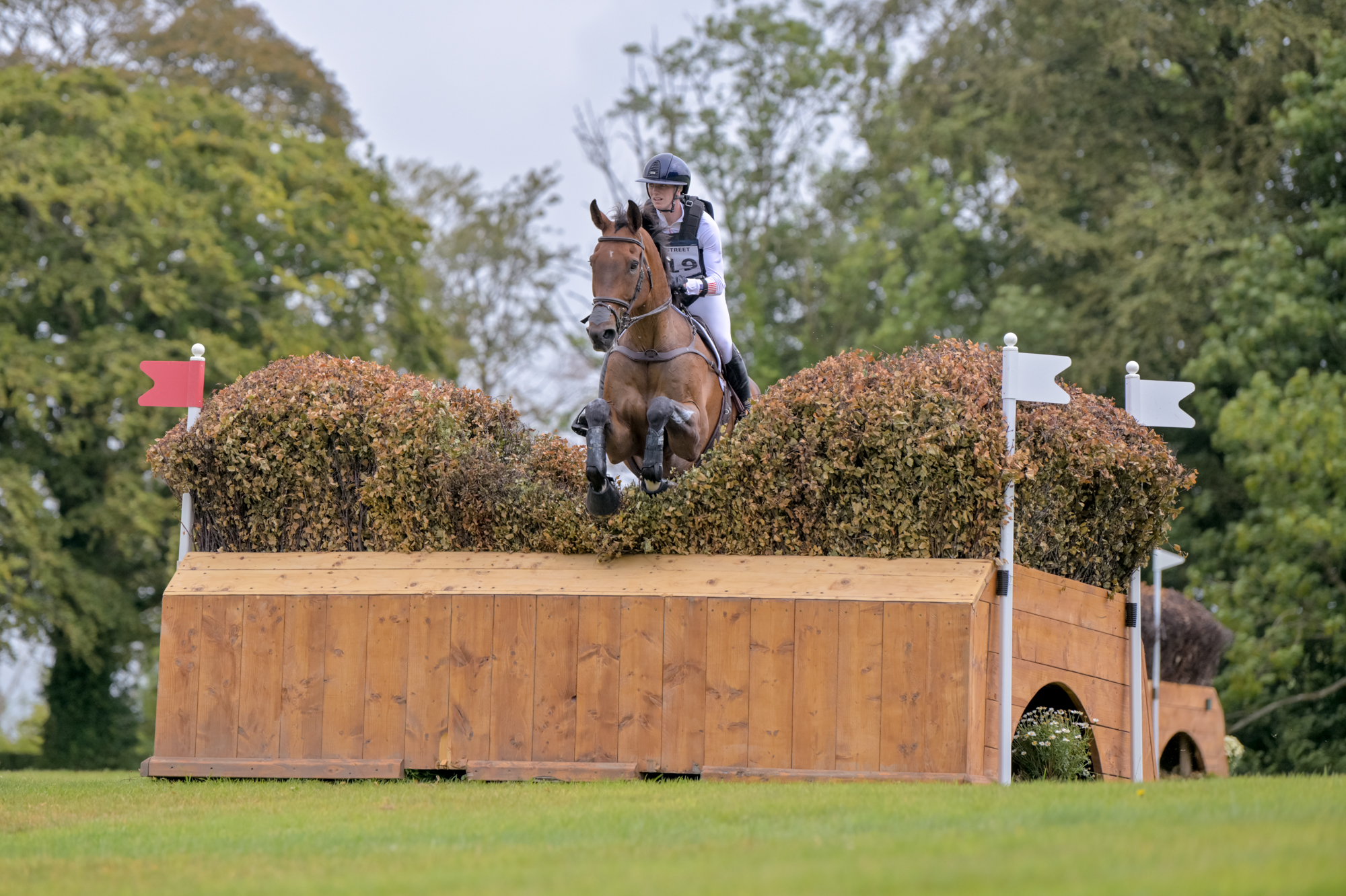FEI Under-25 Eventing World Championship Millstreet
