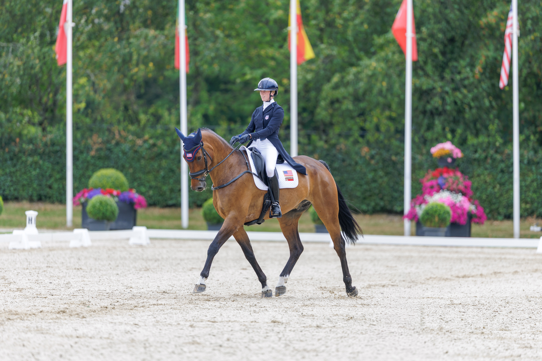 FEI Under-25 Eventing World Championship Millstreet
