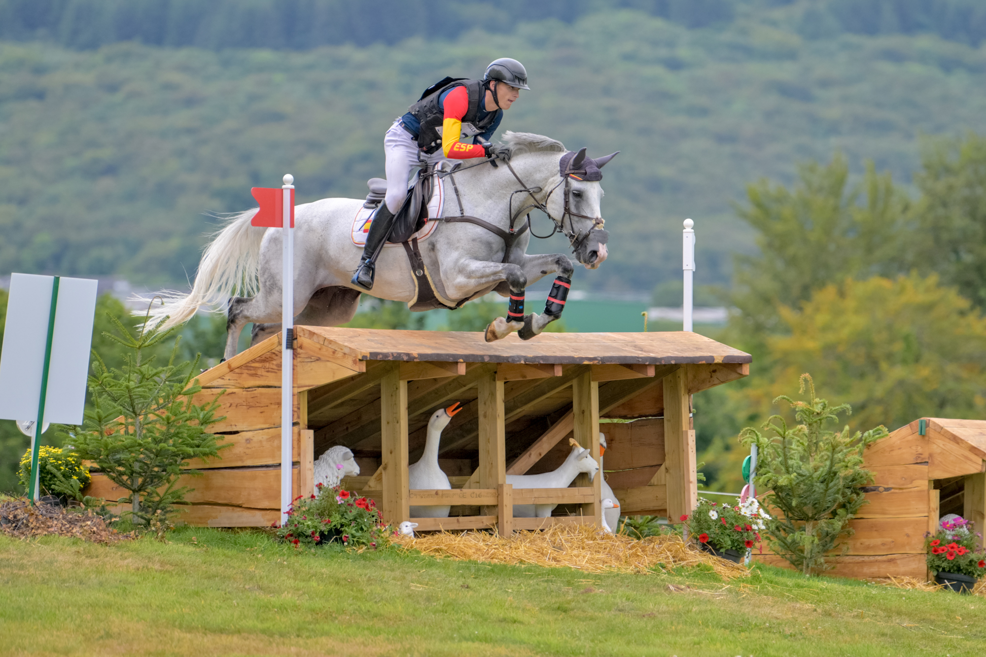 FEI Under-25 Eventing World Championship Millstreet