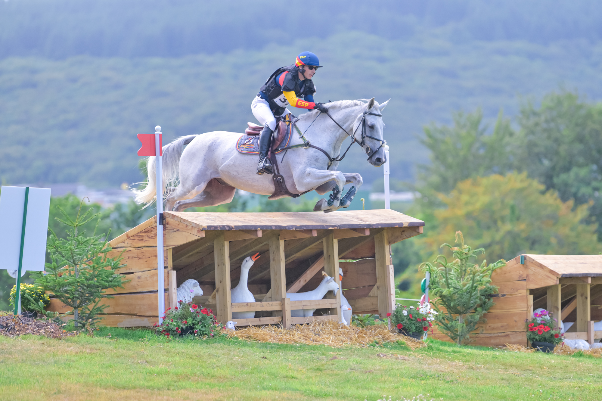 FEI Under-25 Eventing World Championship Millstreet