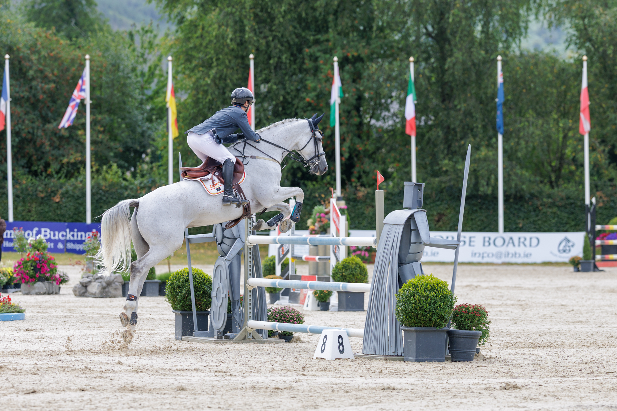 FEI Under-25 Eventing World Championship Millstreet