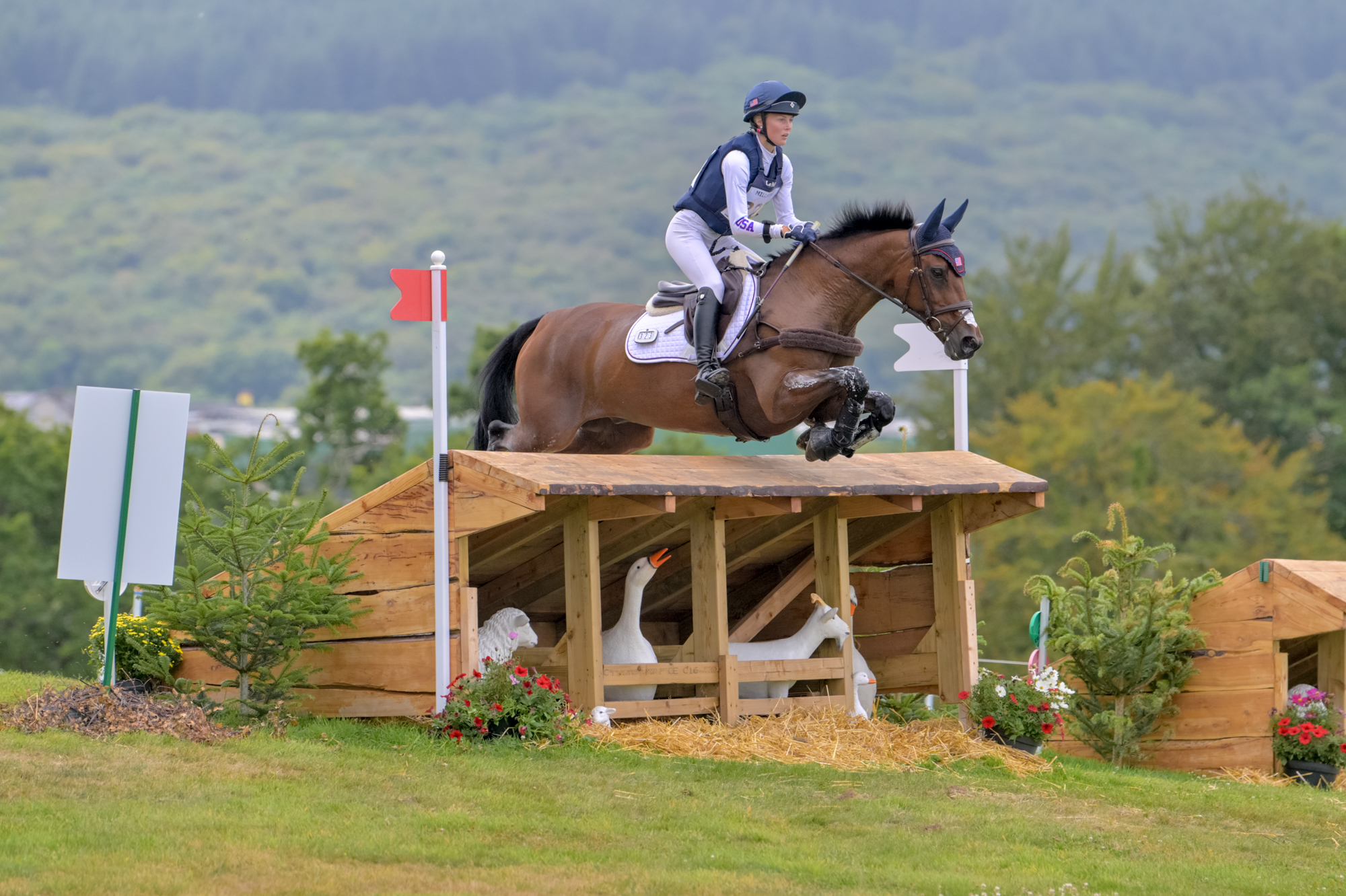 FEI Under-25 Eventing World Championship Millstreet
