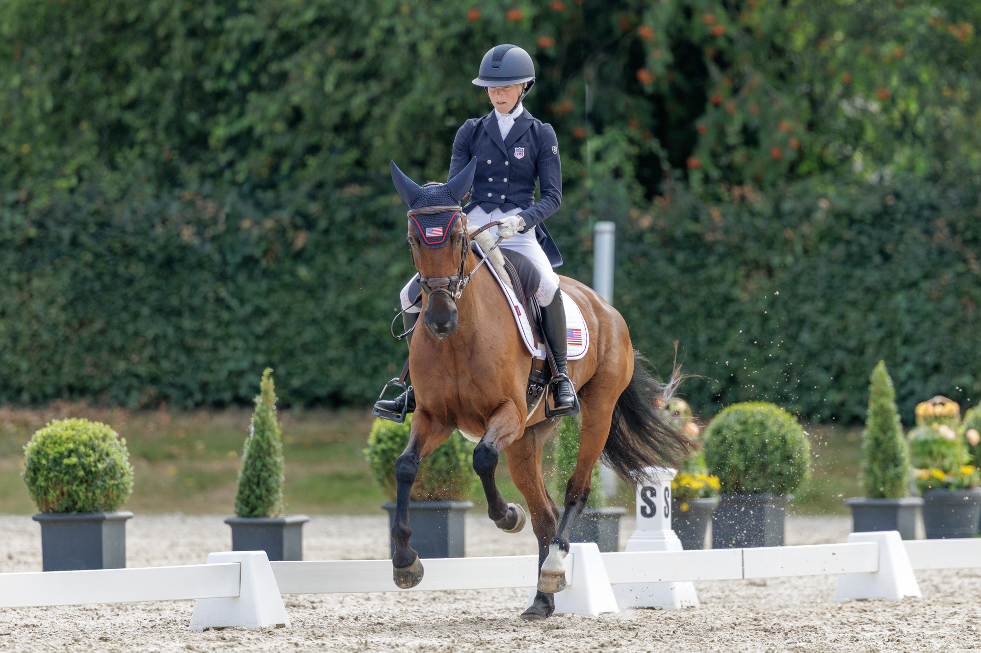 FEI Under-25 Eventing World Championship Millstreet