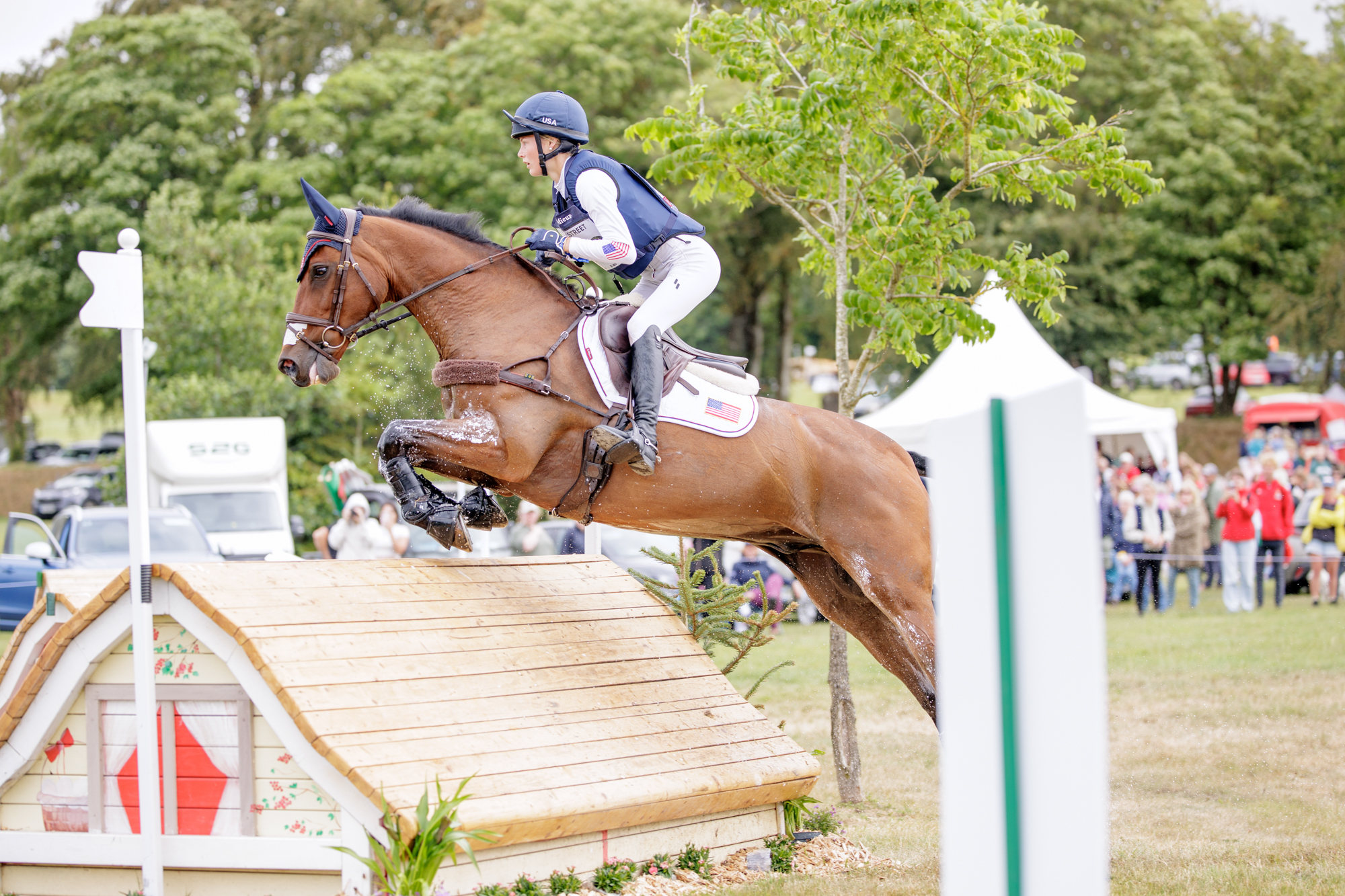 FEI Under-25 Eventing World Championship Millstreet