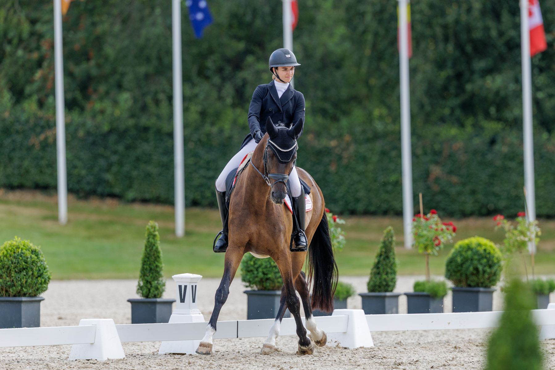 FEI Under-25 Eventing World Championship Millstreet