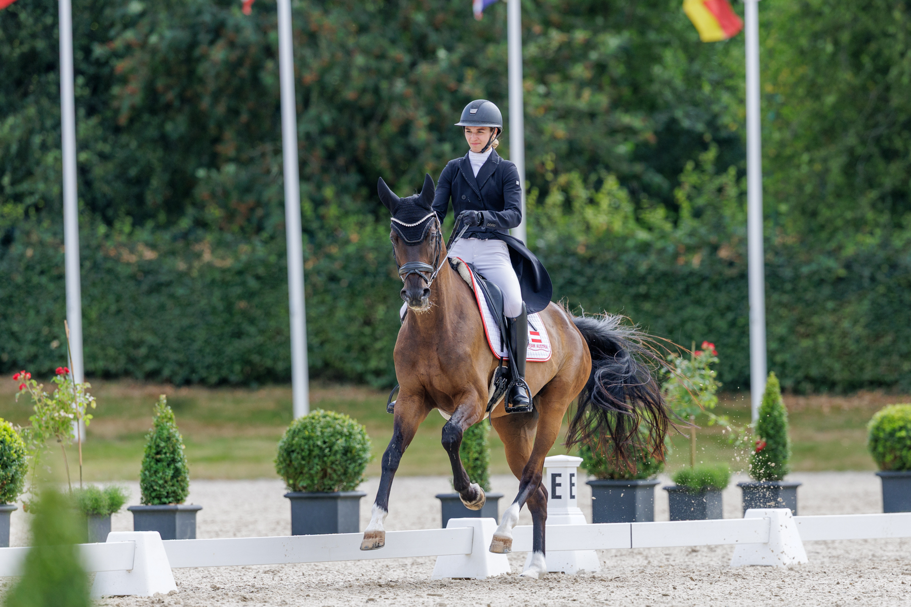 FEI Under-25 Eventing World Championship Millstreet