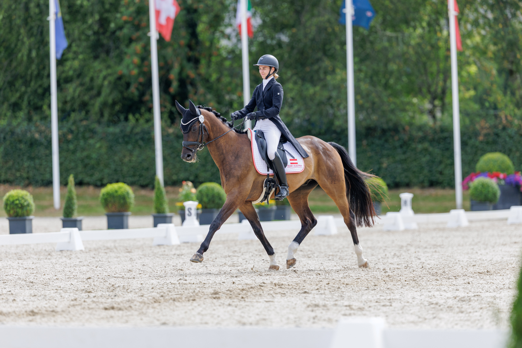 FEI Under-25 Eventing World Championship Millstreet