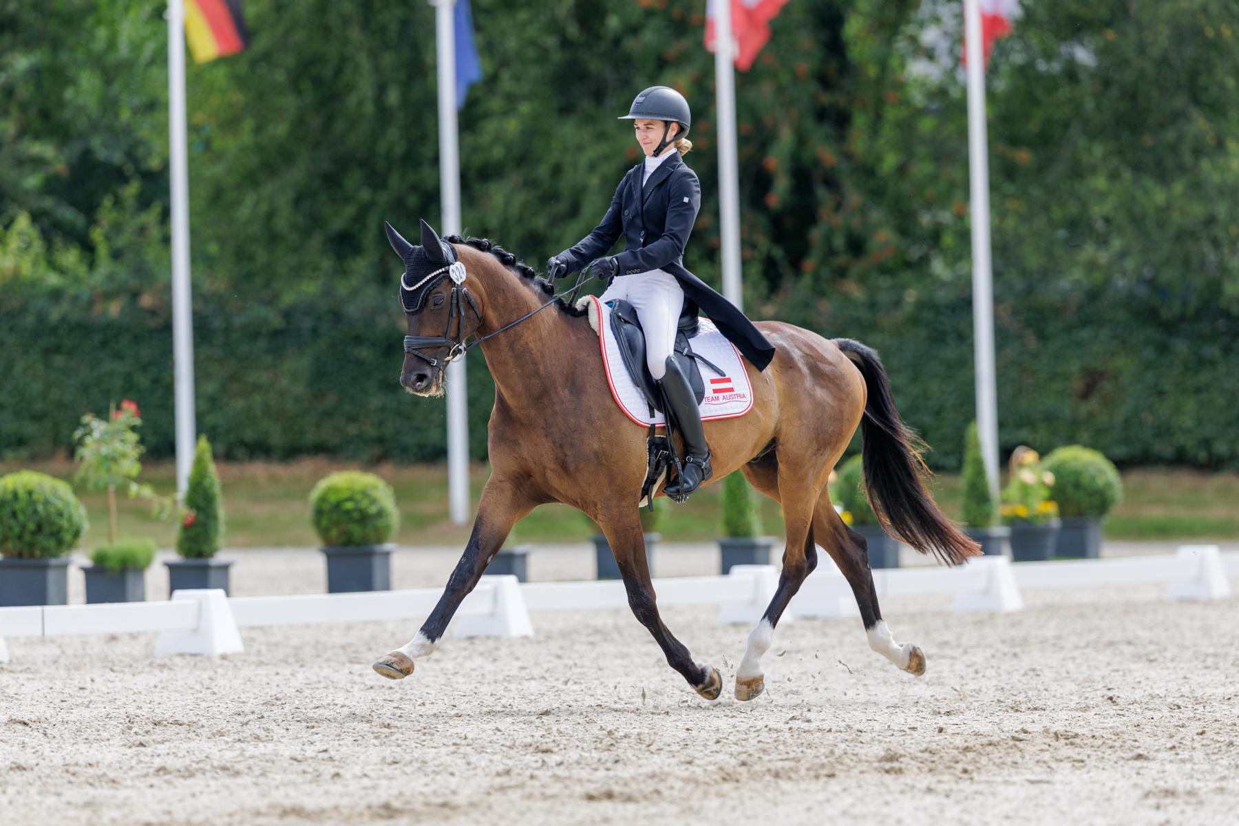 FEI Under-25 Eventing World Championship Millstreet
