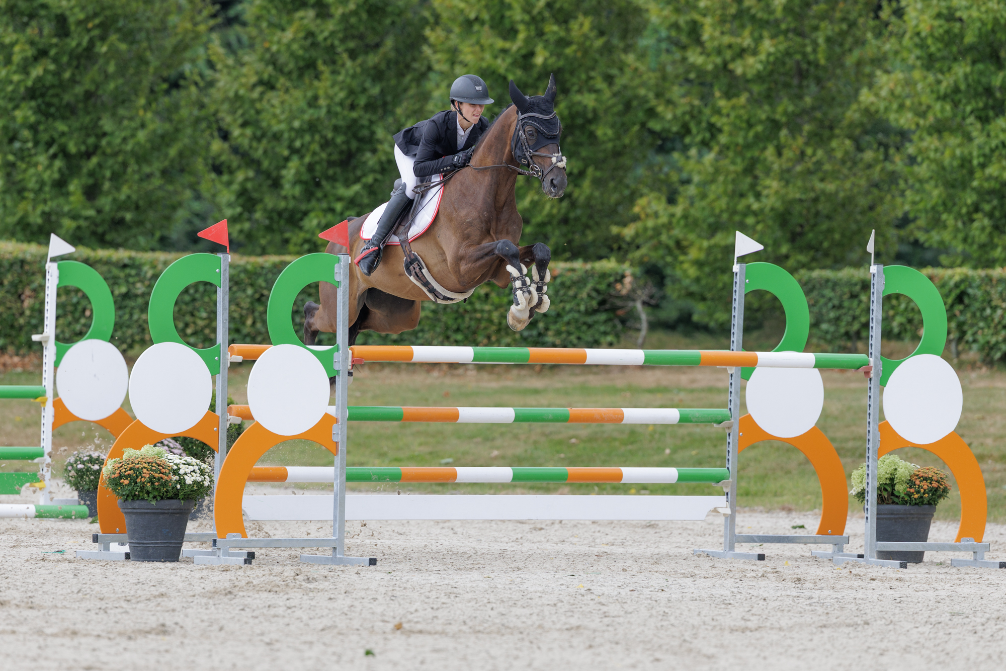 FEI Under-25 Eventing World Championship Millstreet