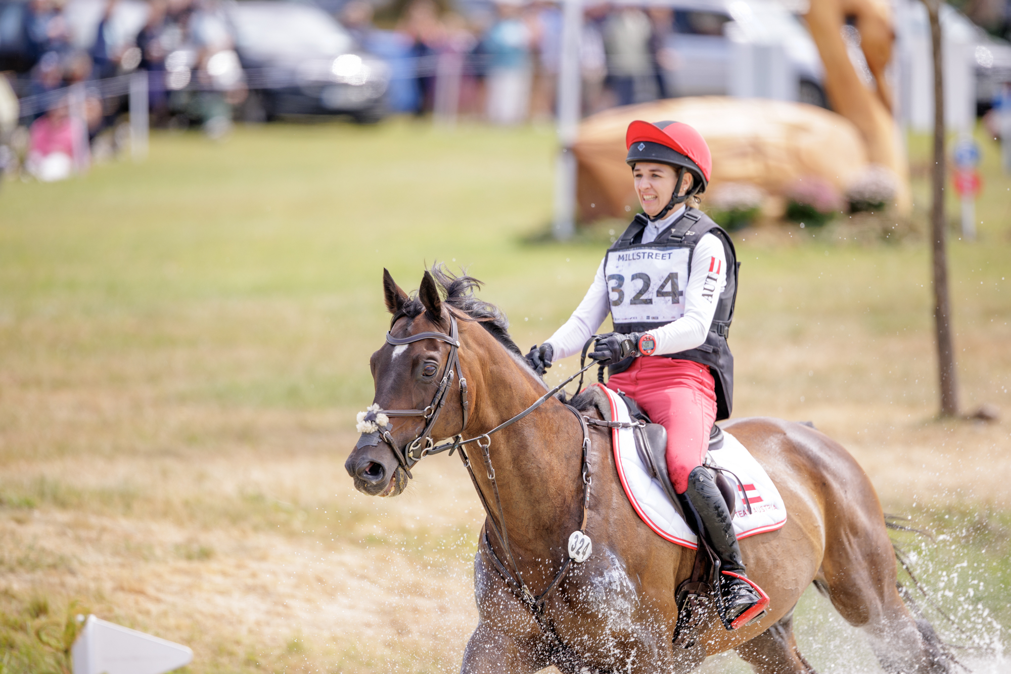 FEI Under-25 Eventing World Championship Millstreet