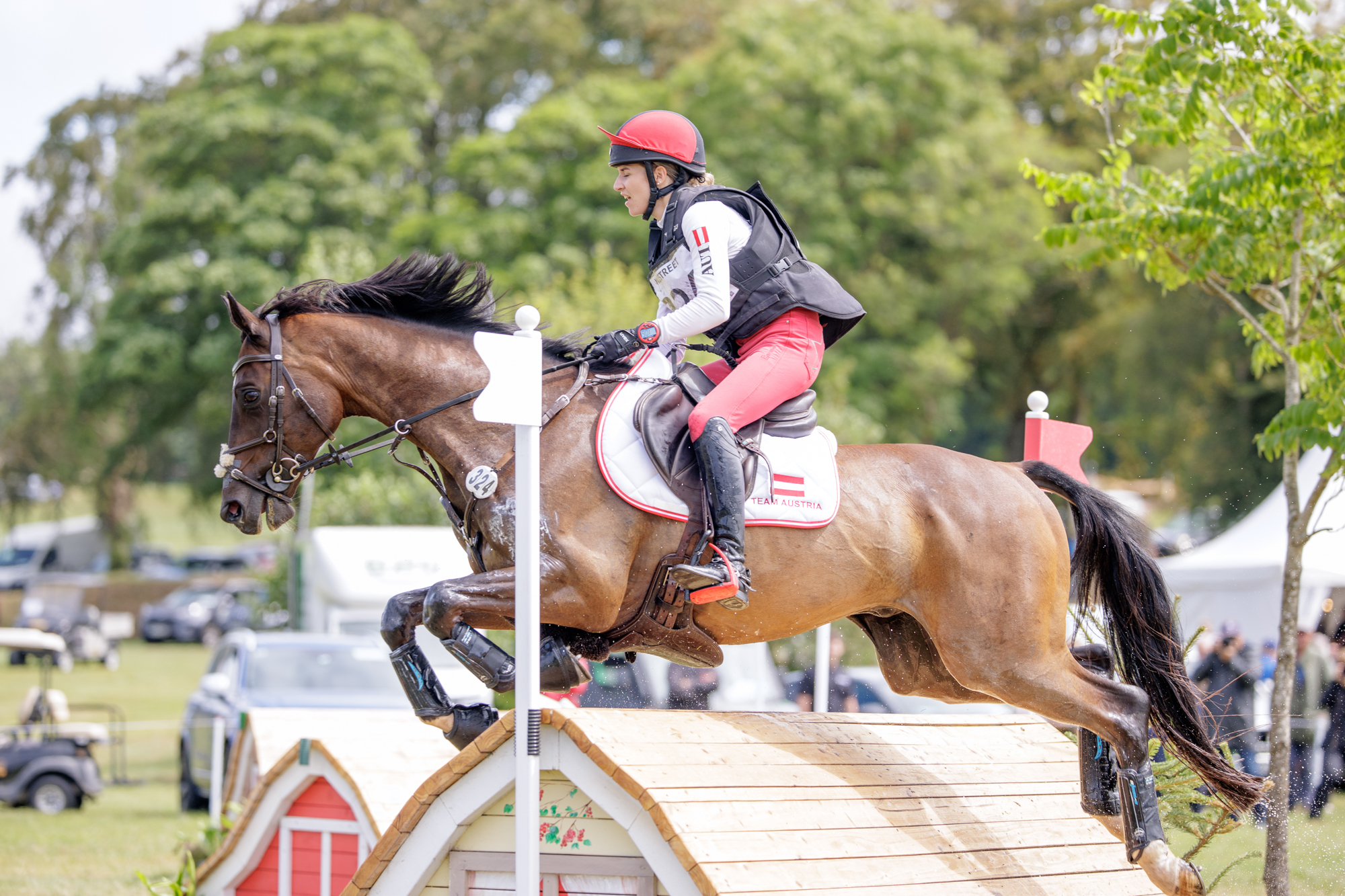 FEI Under-25 Eventing World Championship Millstreet