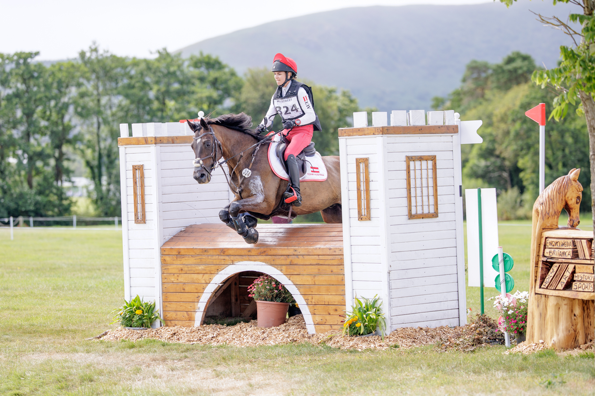 FEI Under-25 Eventing World Championship Millstreet