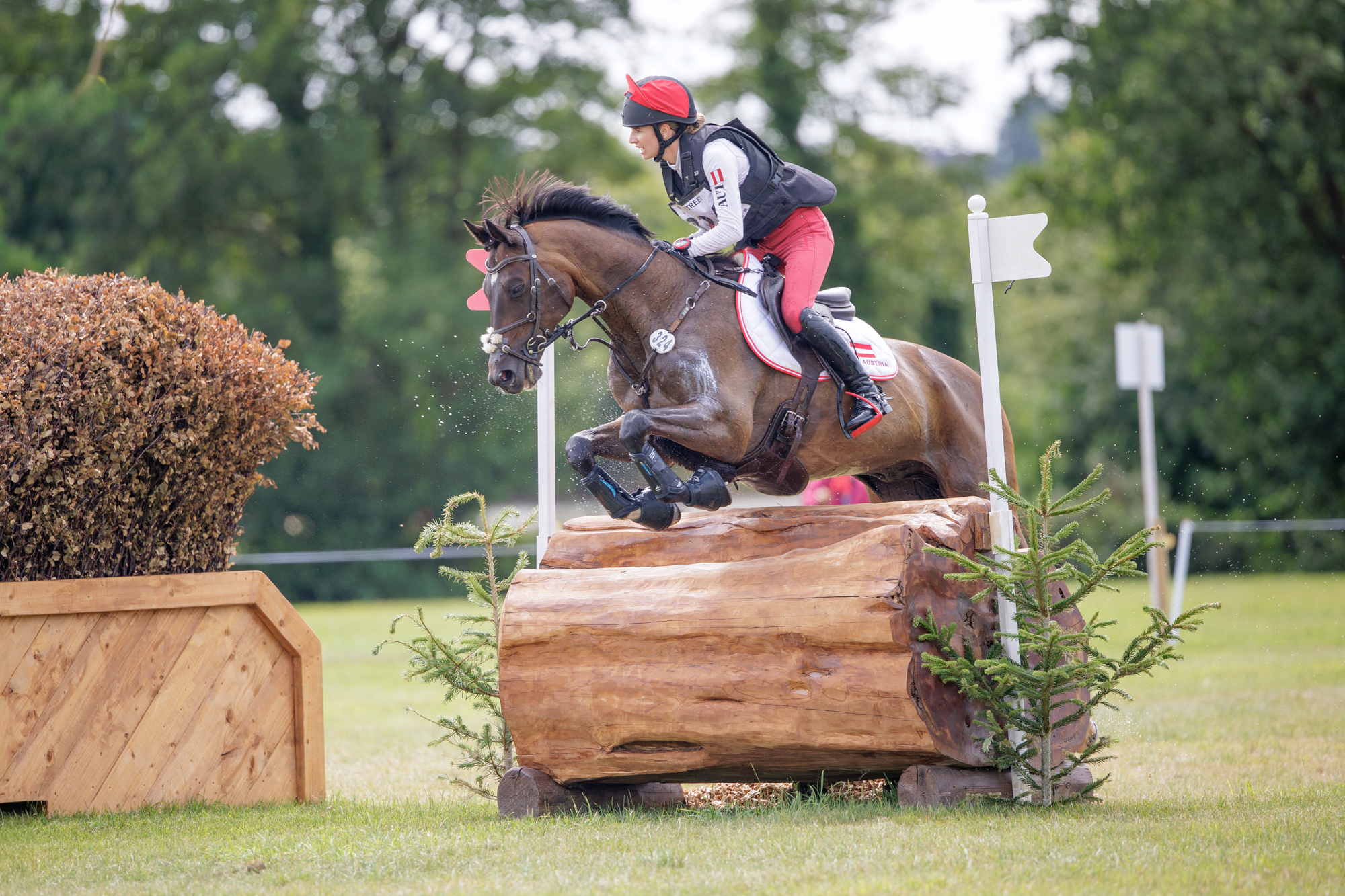 FEI Under-25 Eventing World Championship Millstreet