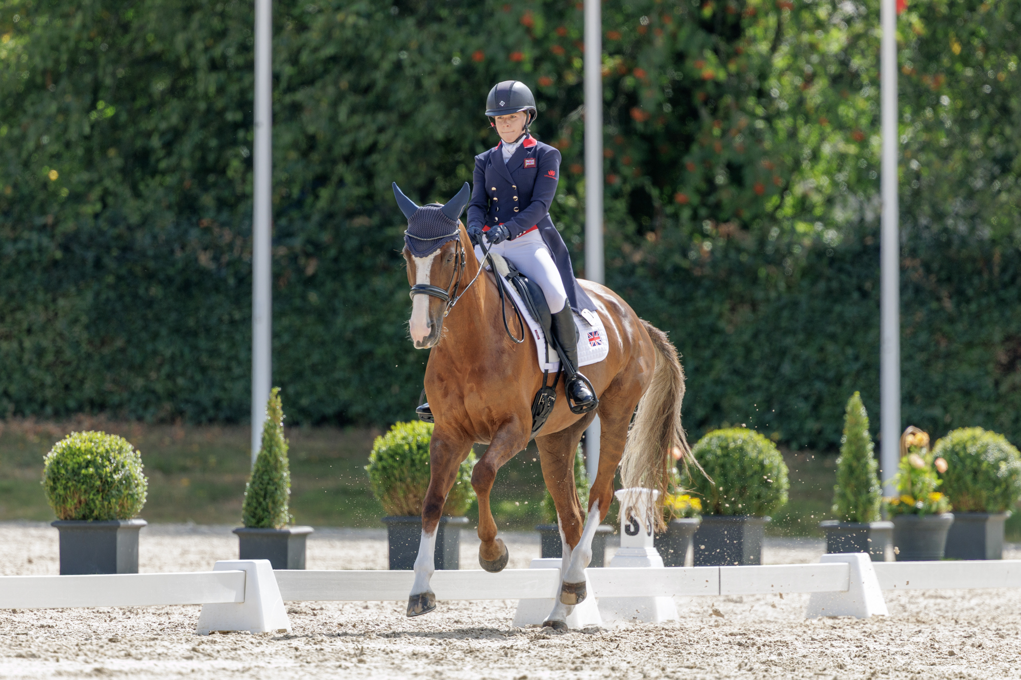 FEI Under-25 Eventing World Championship Millstreet