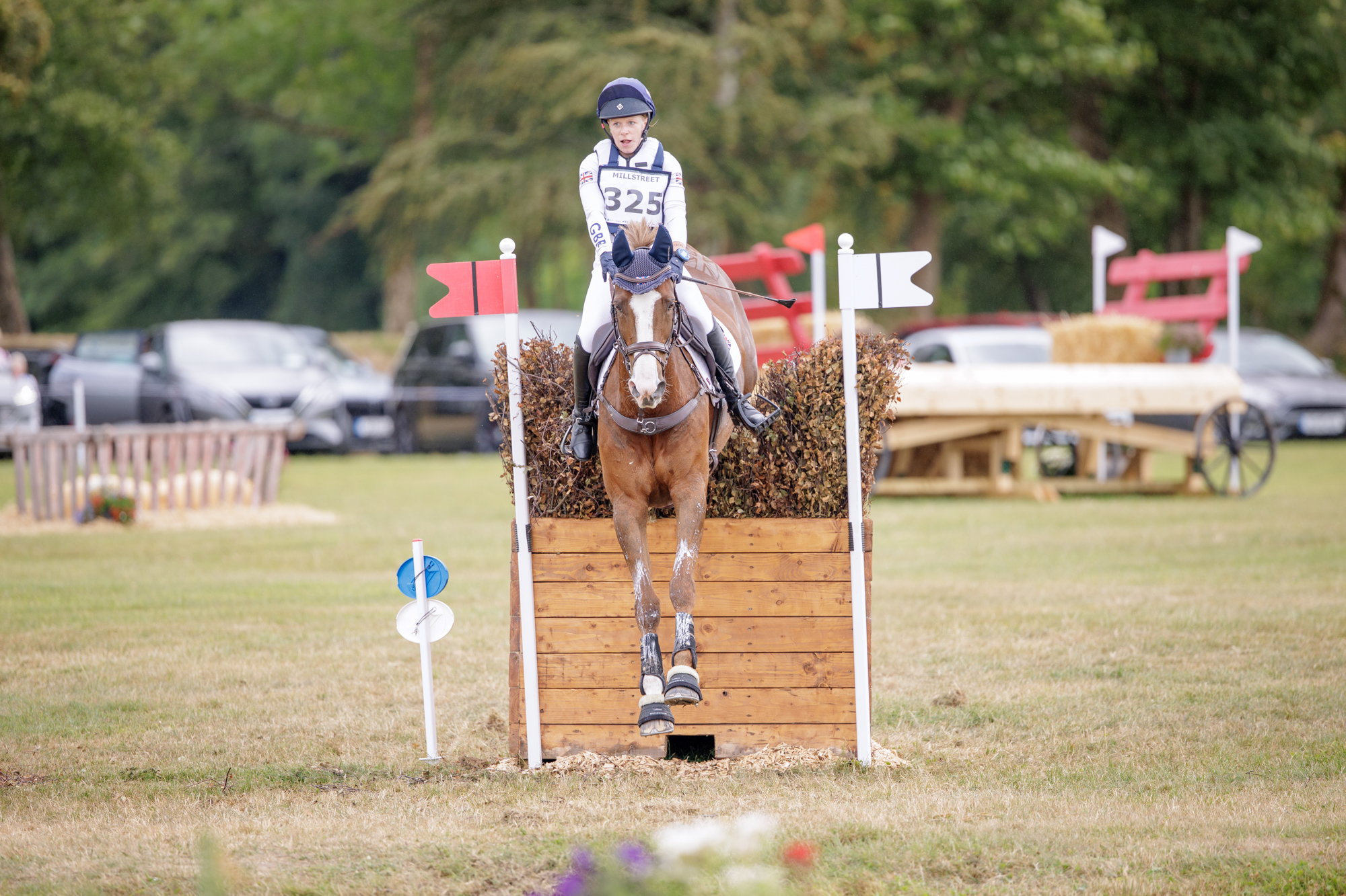 FEI Under-25 Eventing World Championship Millstreet