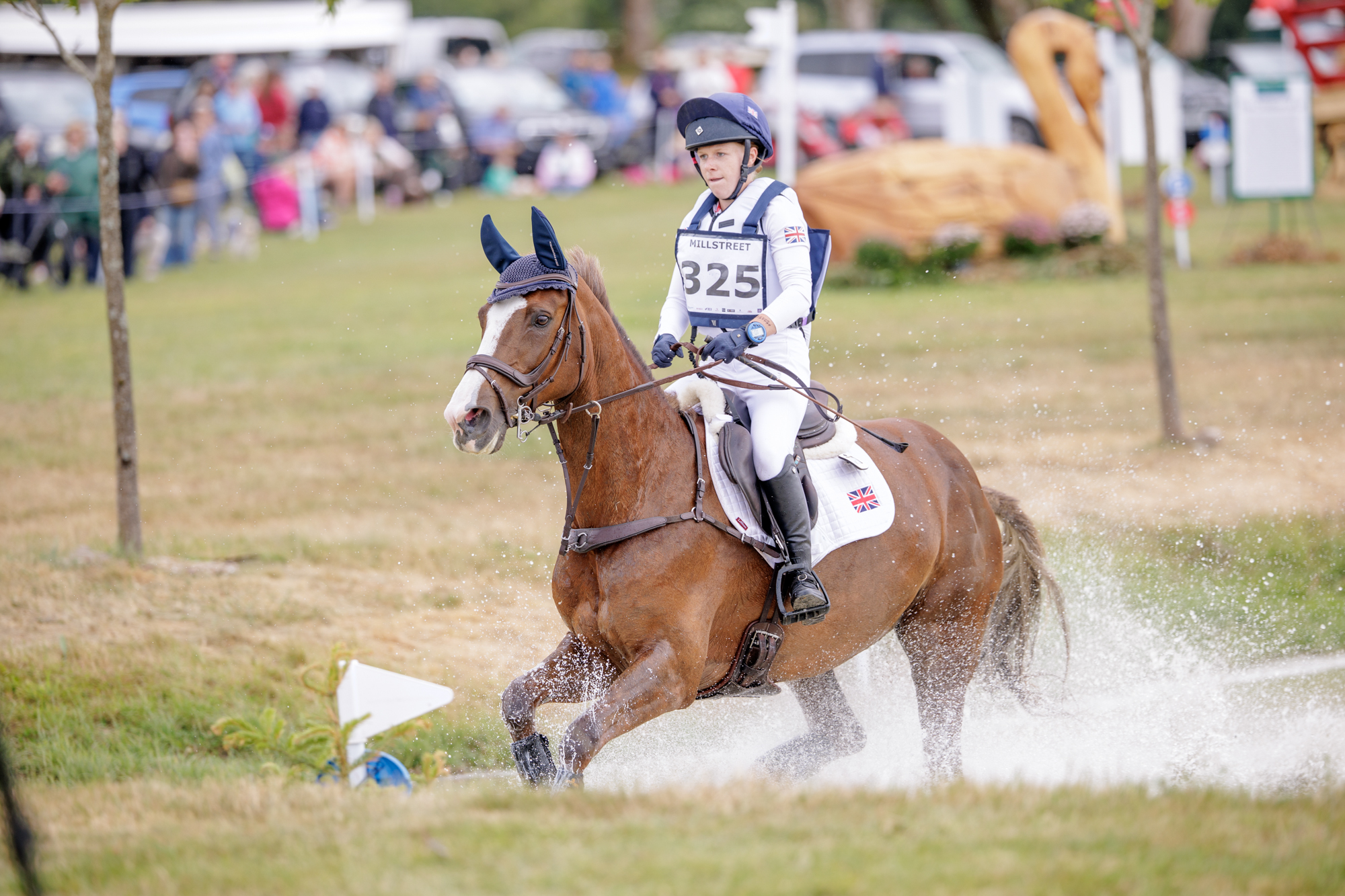 FEI Under-25 Eventing World Championship Millstreet