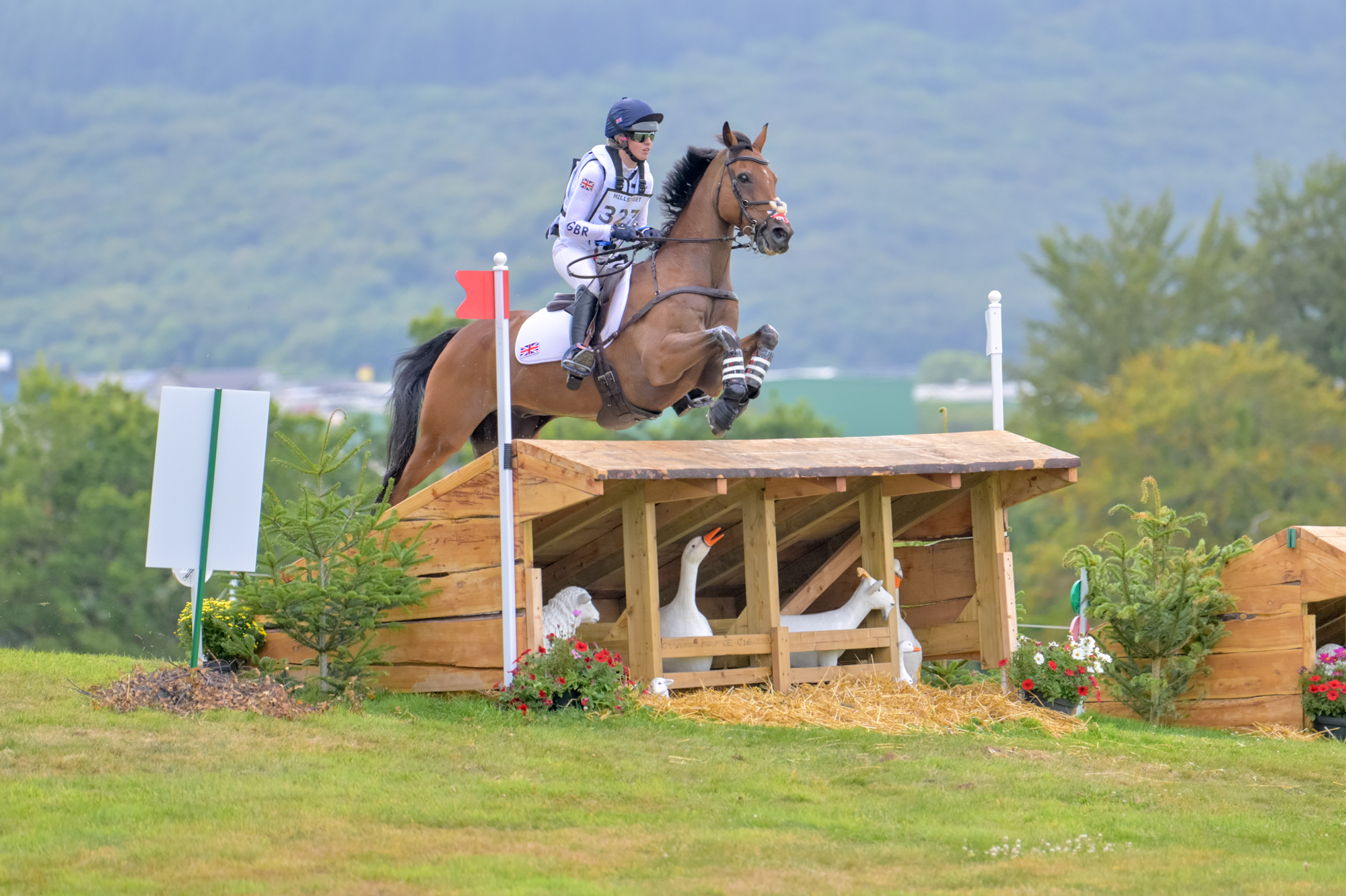 FEI Under-25 Eventing World Championship Millstreet