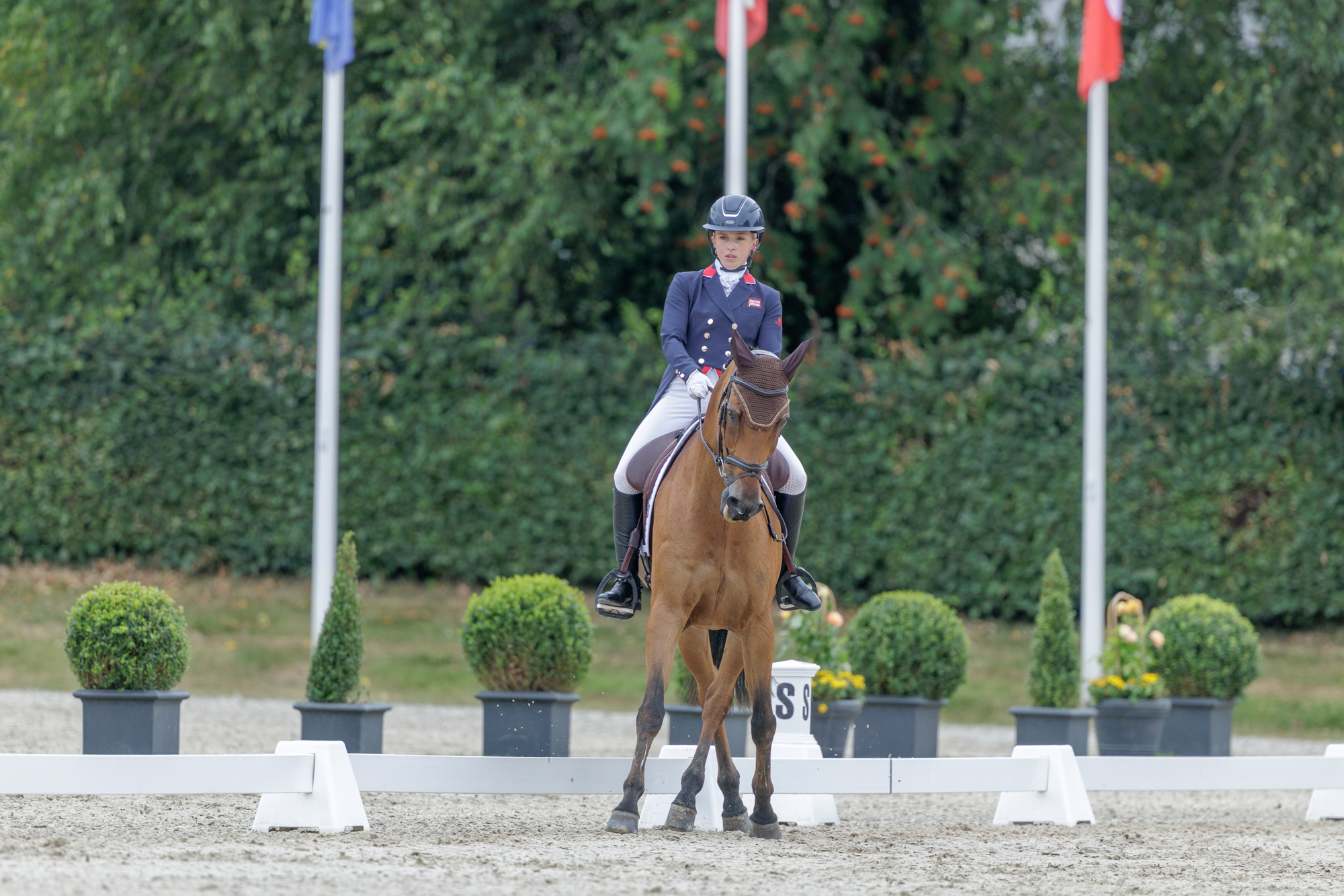 FEI Under-25 Eventing World Championship Millstreet