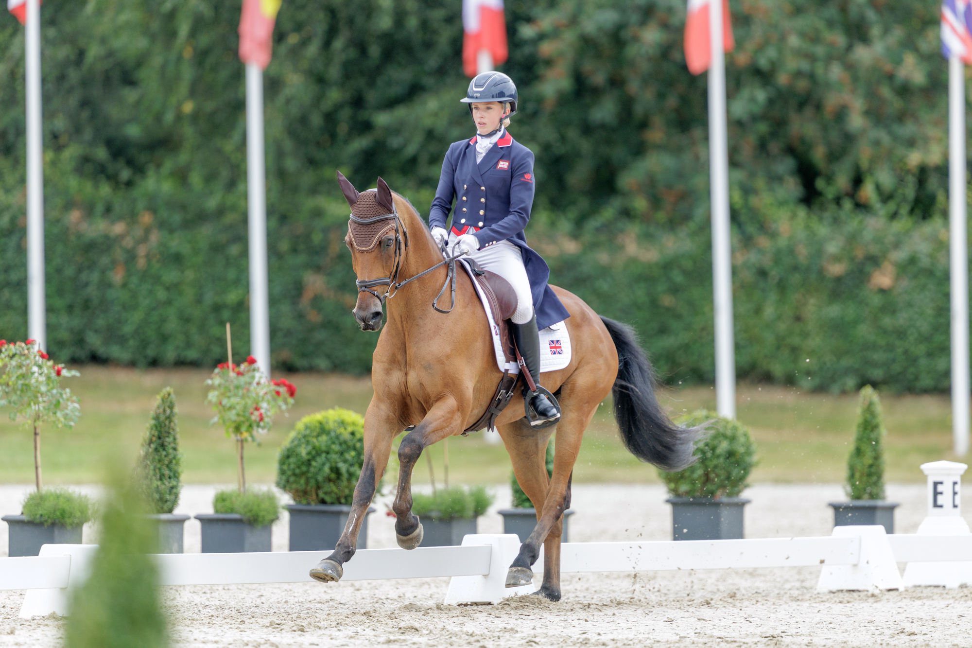 FEI Under-25 Eventing World Championship Millstreet