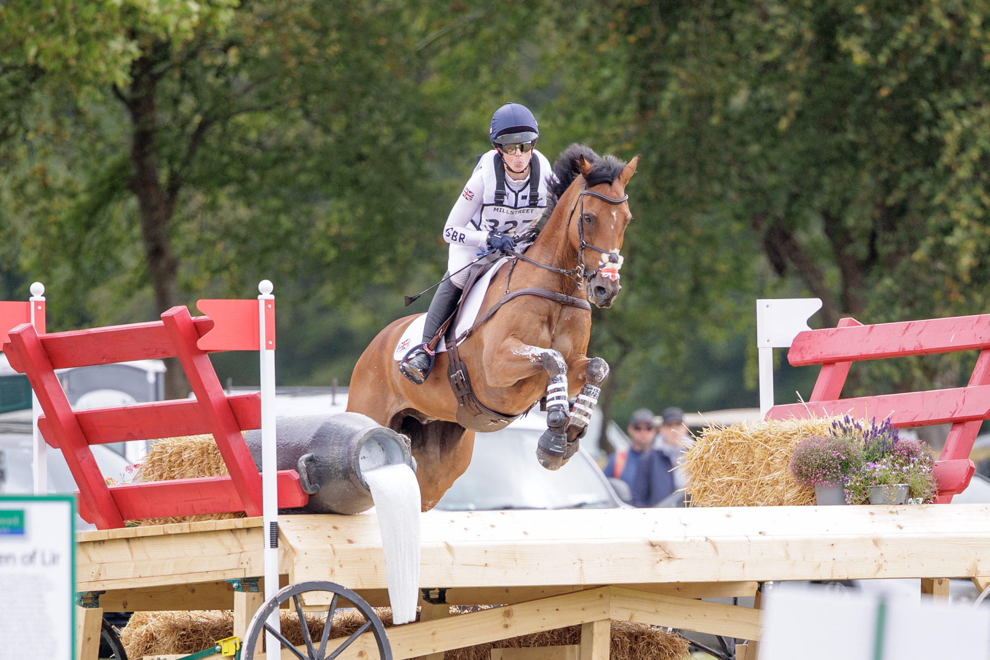 FEI Under-25 Eventing World Championship Millstreet