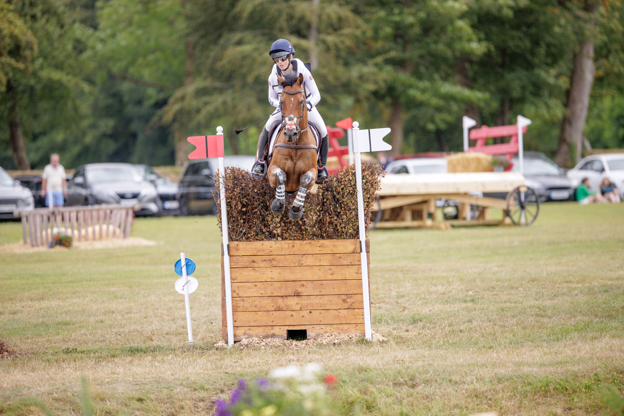 FEI Under-25 Eventing World Championship Millstreet