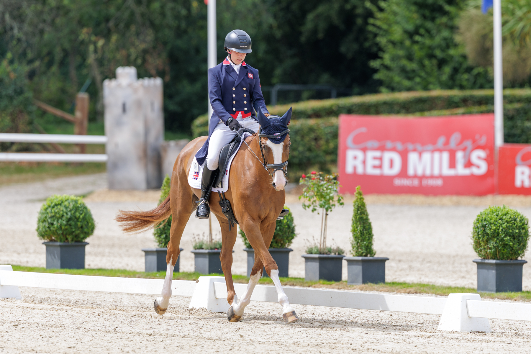 FEI Under-25 Eventing World Championship Millstreet