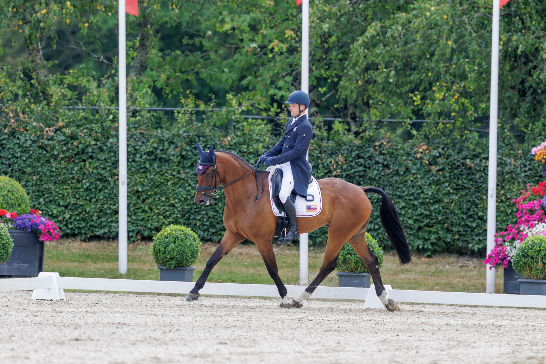 FEI Under-25 Eventing World Championship Millstreet