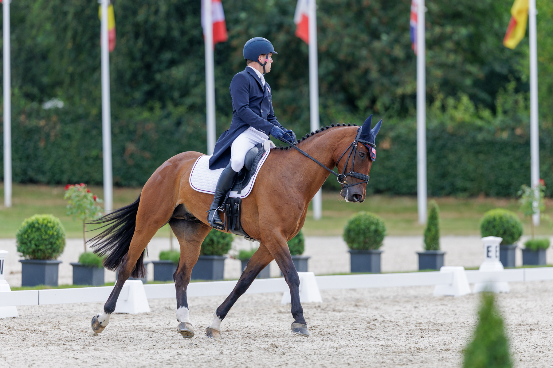 FEI Under-25 Eventing World Championship Millstreet
