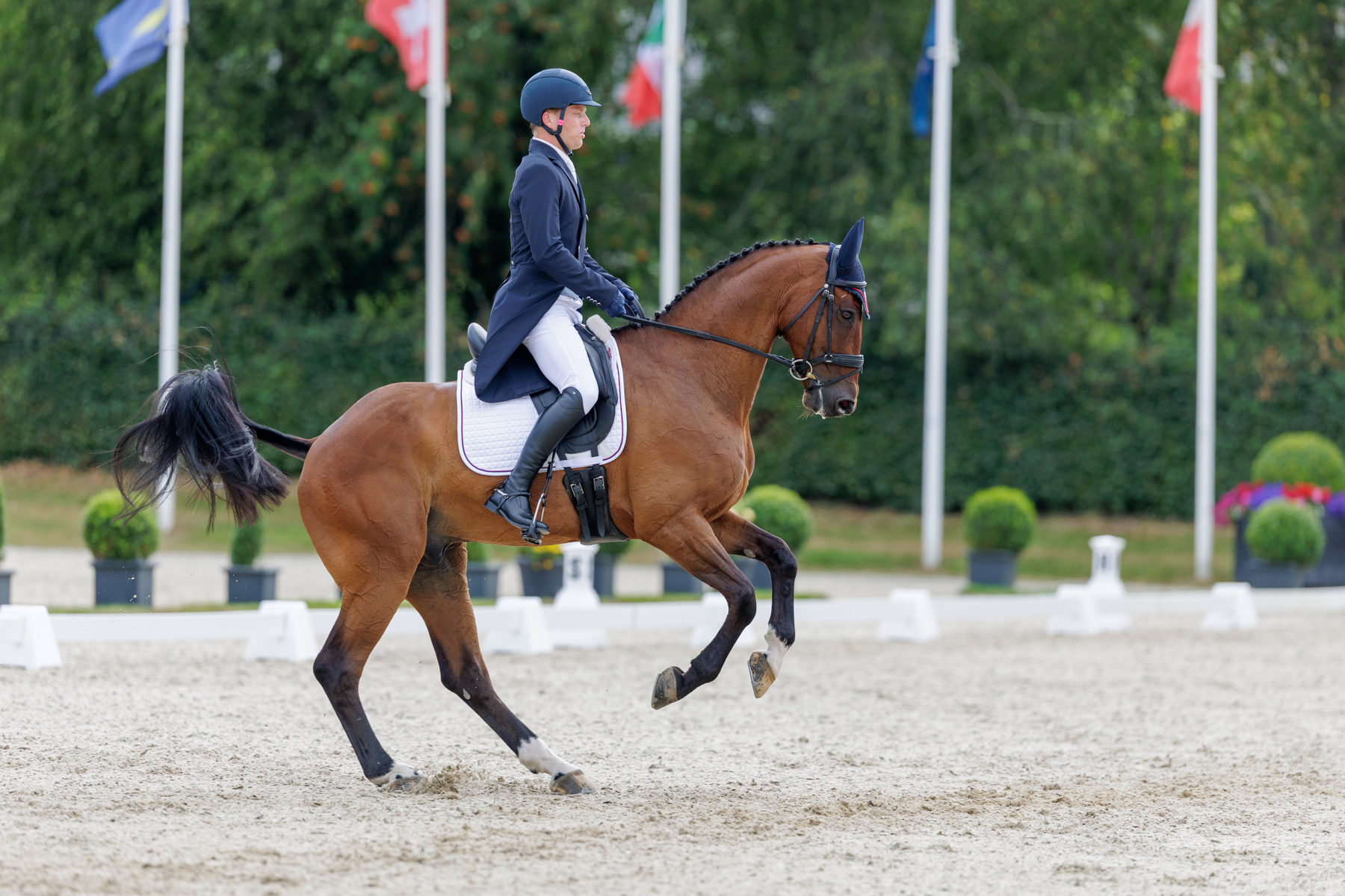 FEI Under-25 Eventing World Championship Millstreet