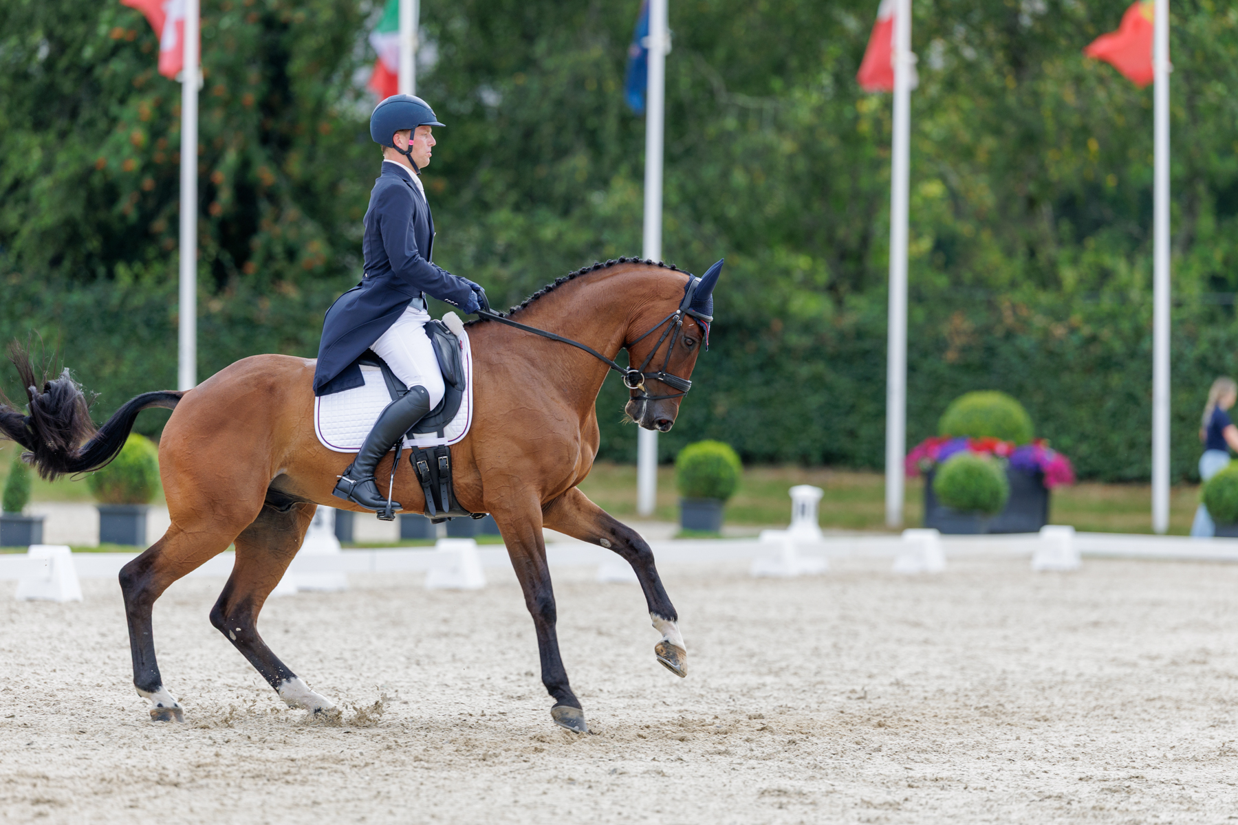 FEI Under-25 Eventing World Championship Millstreet