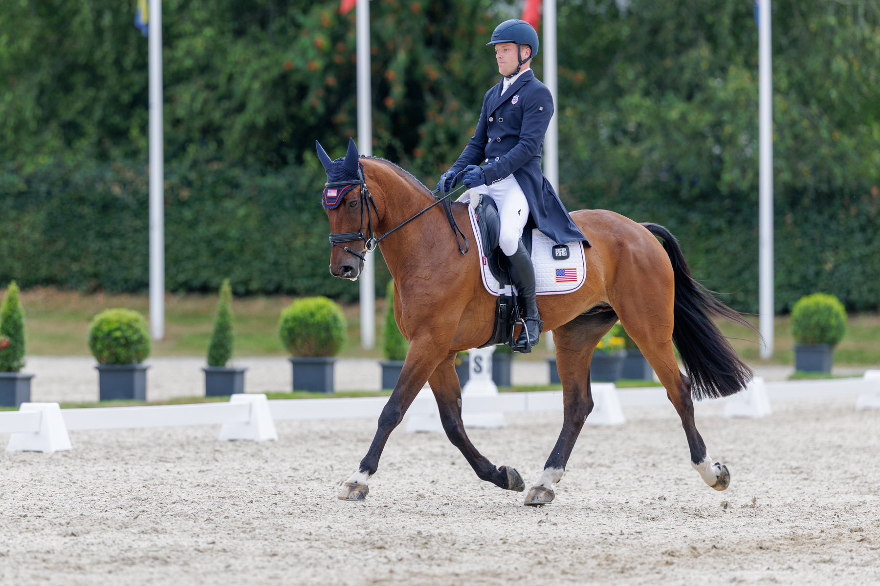 FEI Under-25 Eventing World Championship Millstreet