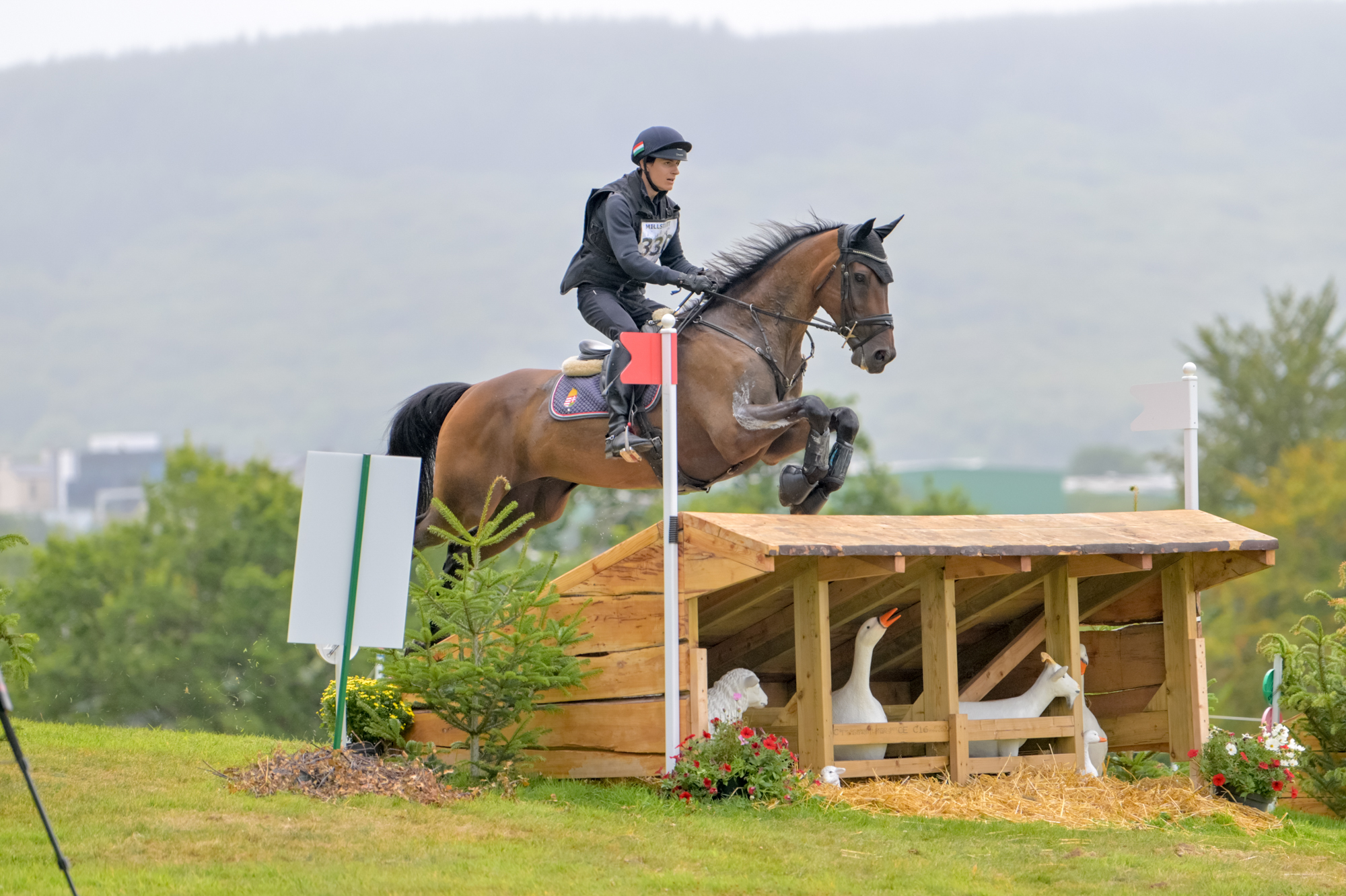 FEI Under-25 Eventing World Championship Millstreet