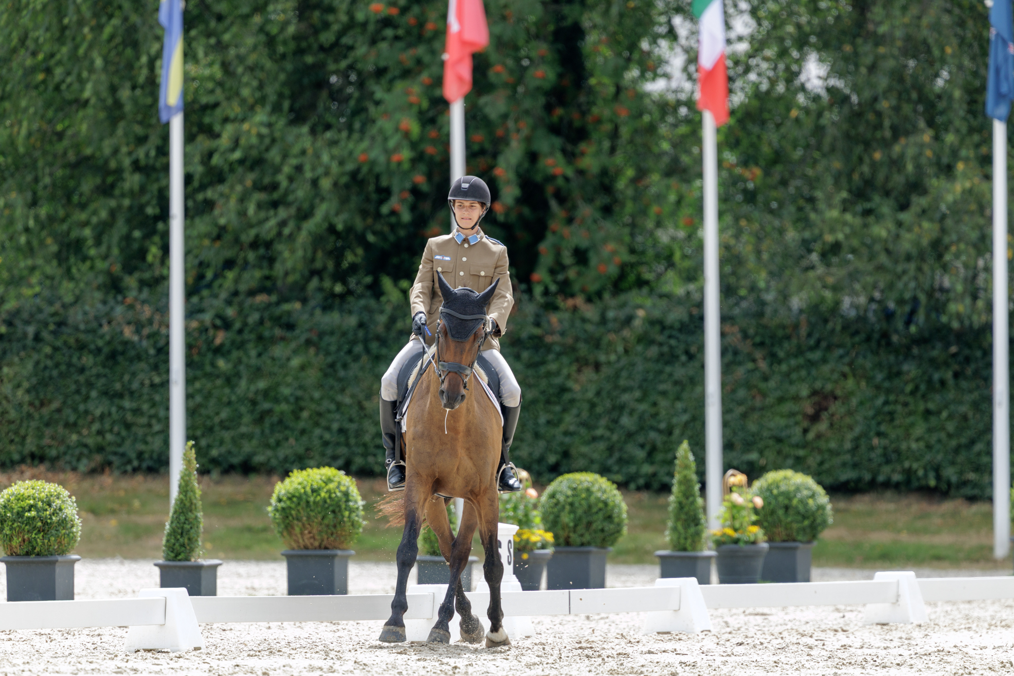 FEI Under-25 Eventing World Championship Millstreet
