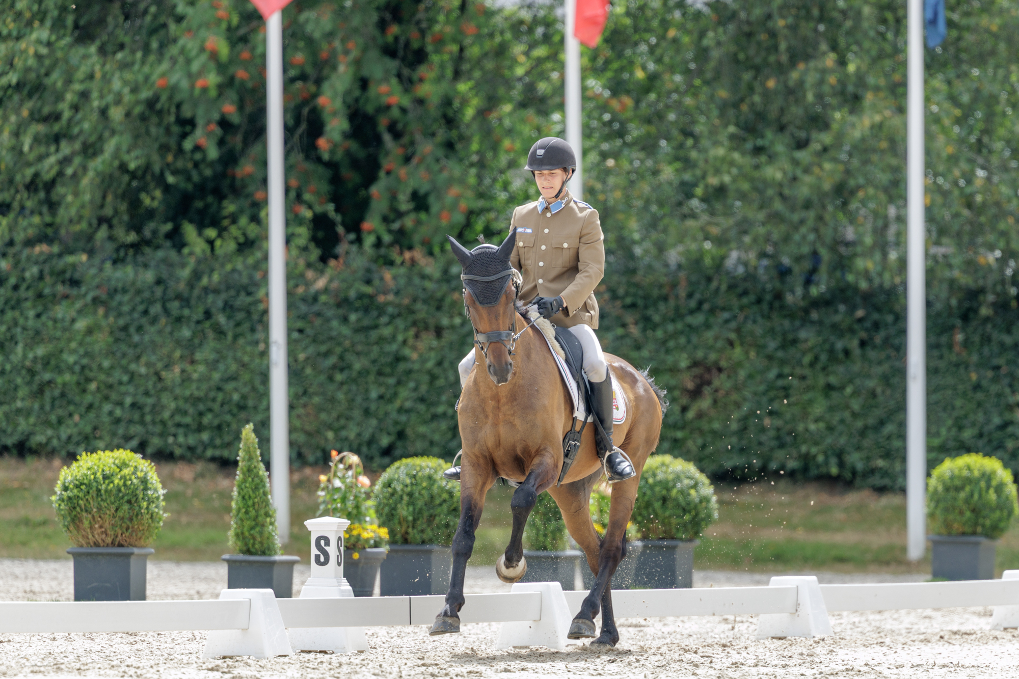 FEI Under-25 Eventing World Championship Millstreet
