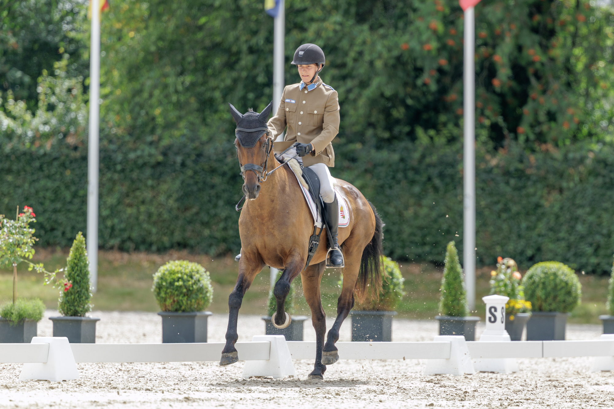 FEI Under-25 Eventing World Championship Millstreet