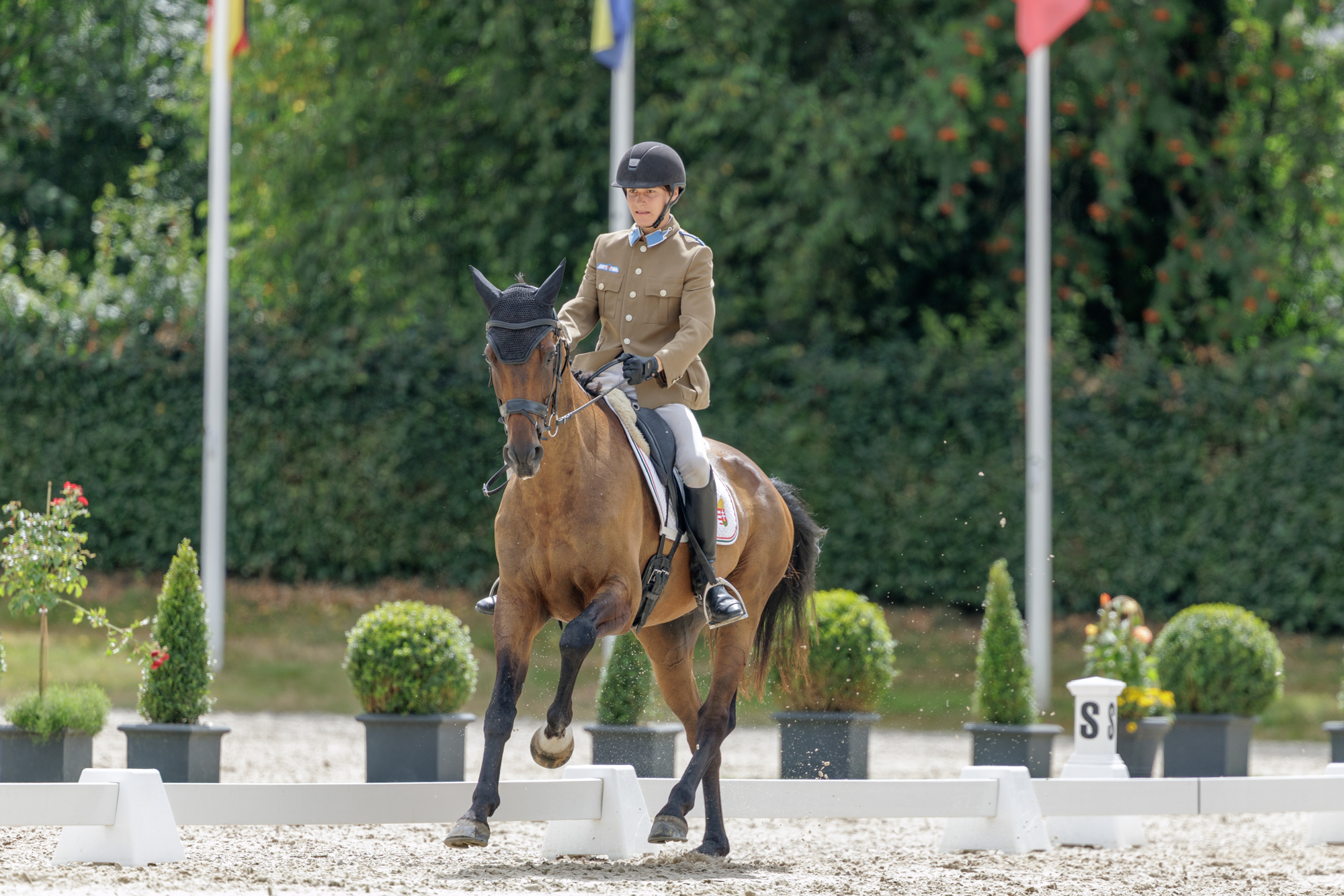 FEI Under-25 Eventing World Championship Millstreet