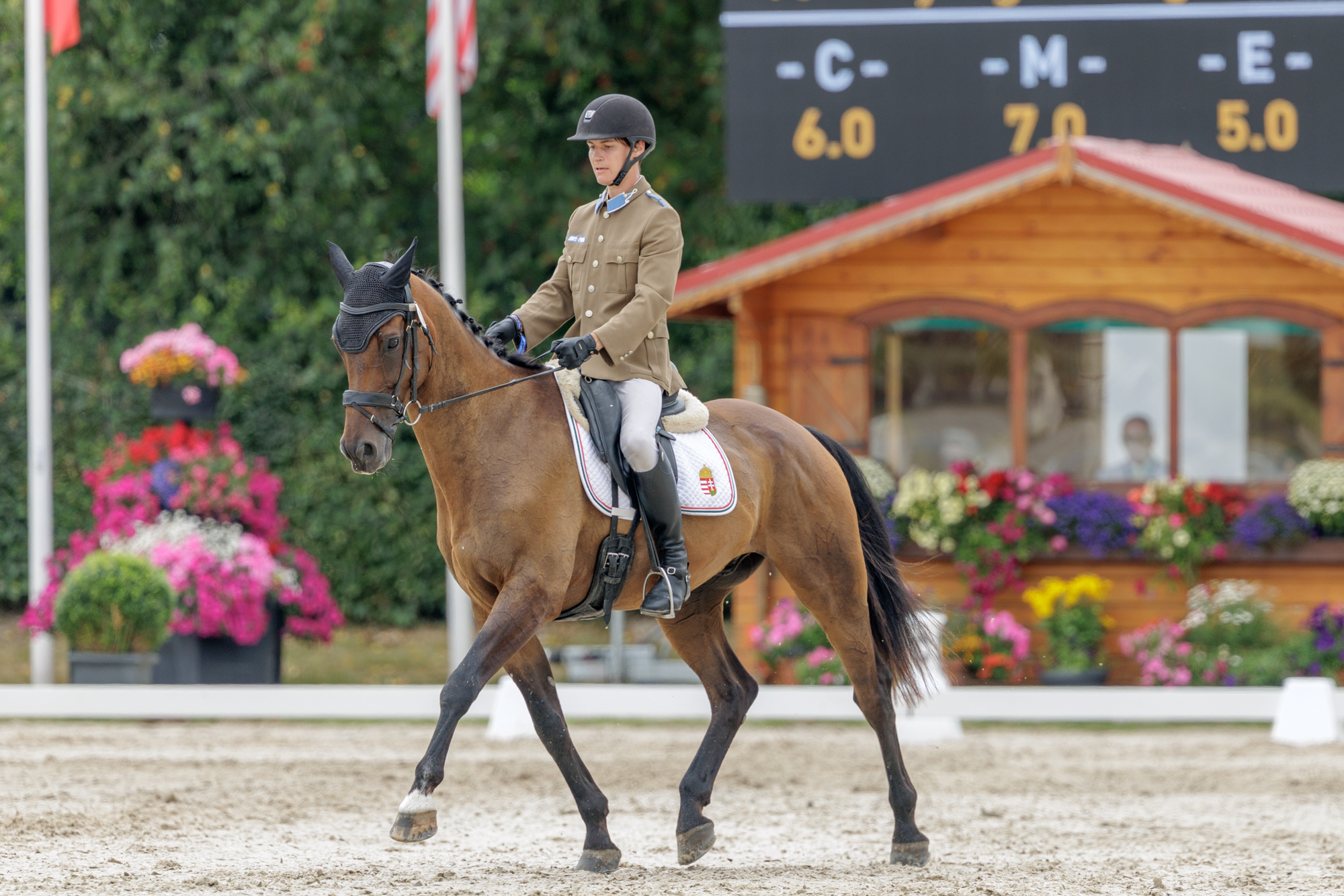 FEI Under-25 Eventing World Championship Millstreet