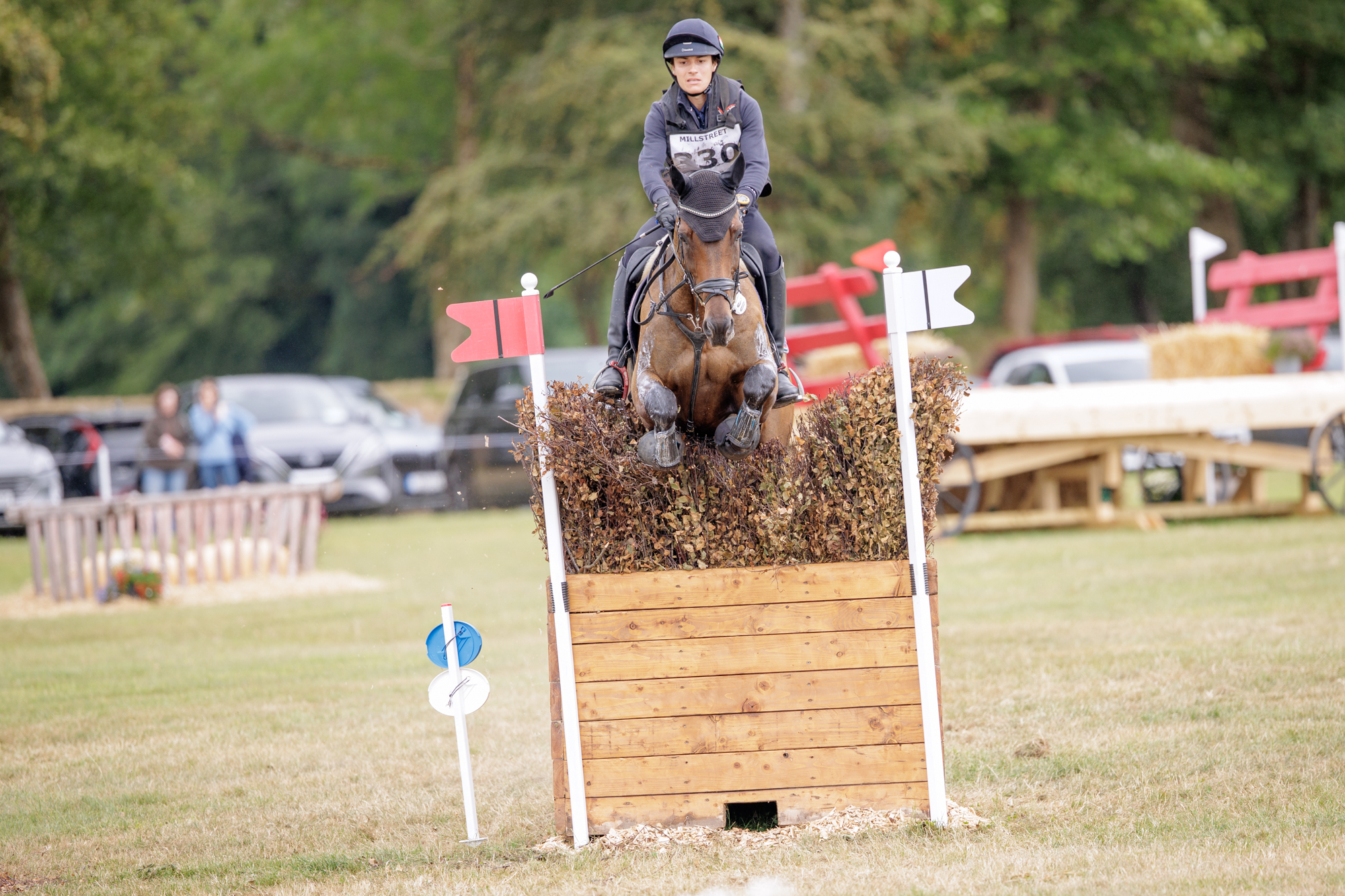 FEI Under-25 Eventing World Championship Millstreet