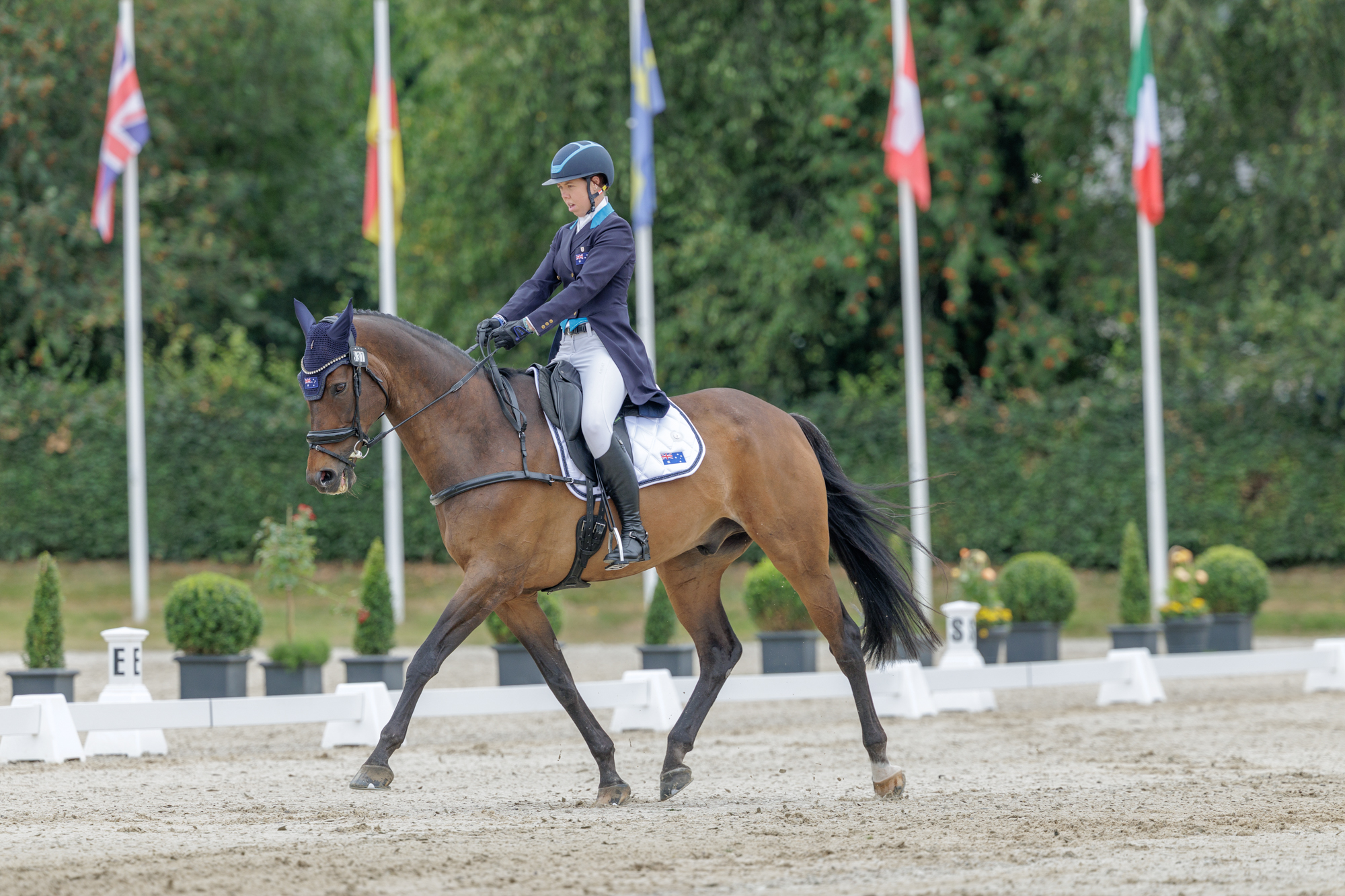 FEI Under-25 Eventing World Championship Millstreet
