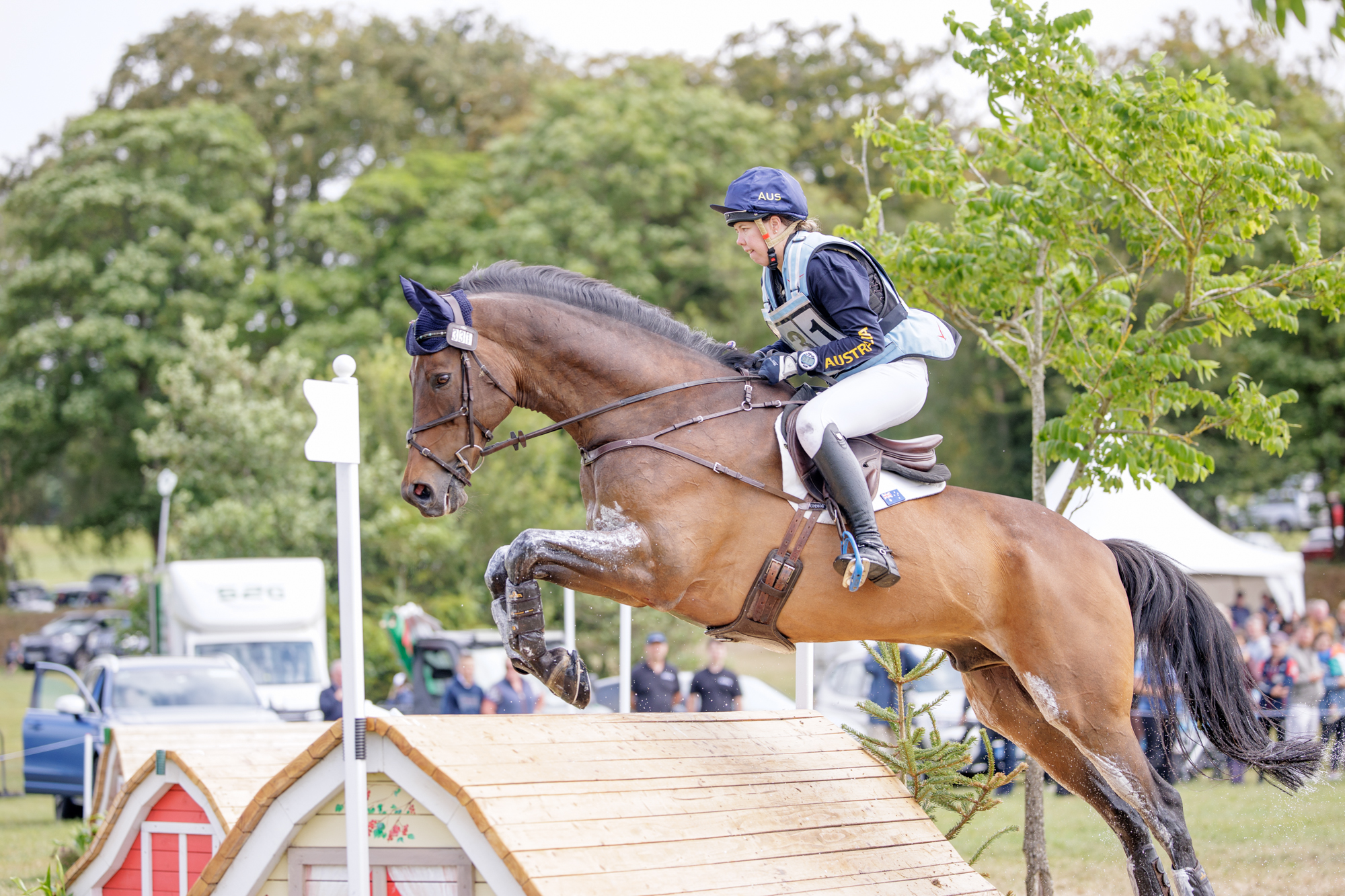 FEI Under-25 Eventing World Championship Millstreet